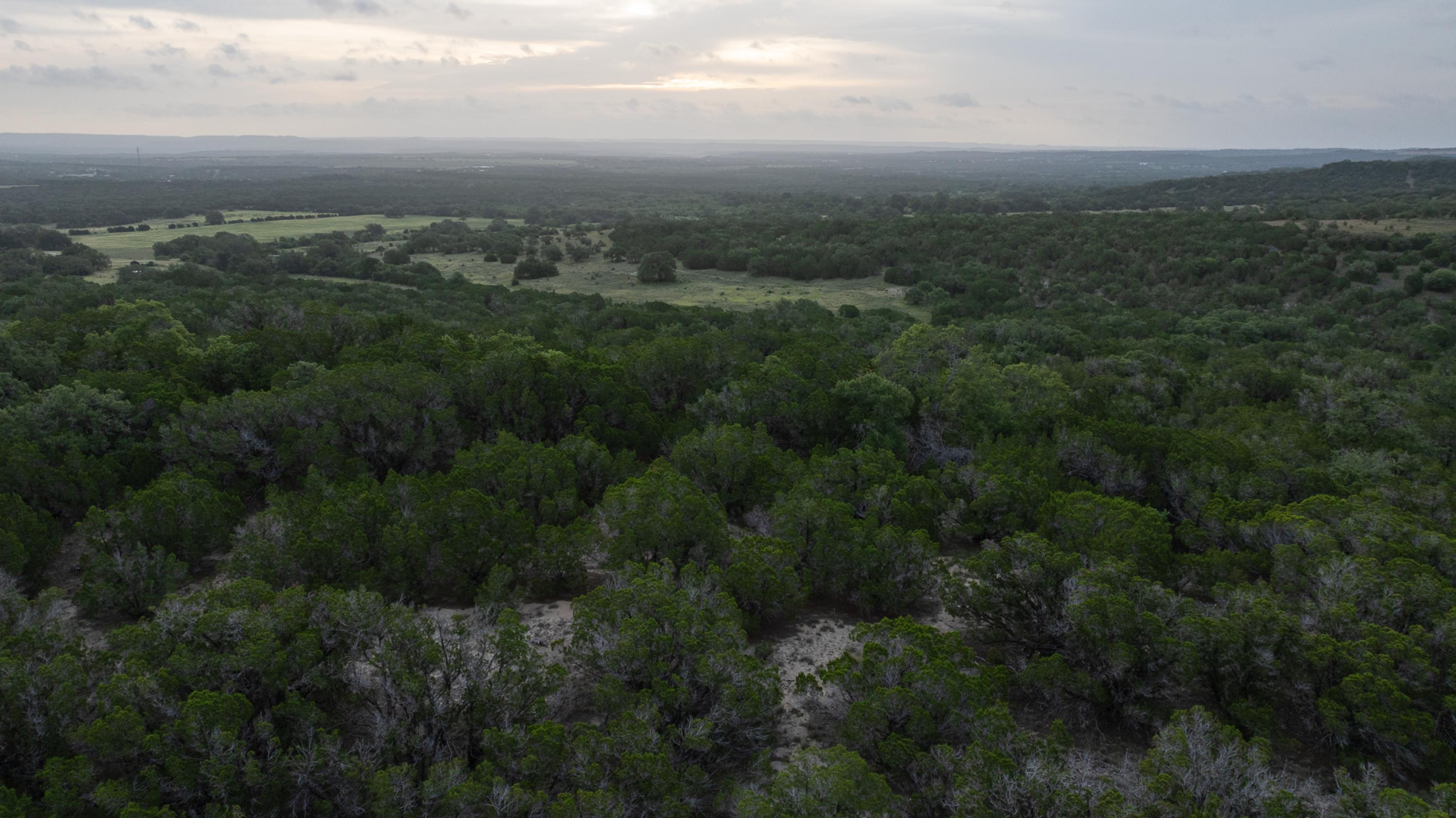  Otra Vez Ranch - Heart of the Hill Country - 物件實景