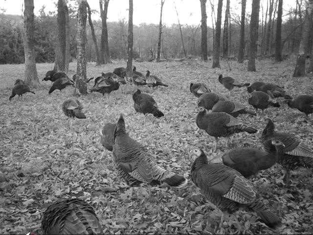 Hulbert, Oklahoma, 74441, United States, 3 Bedrooms Bedrooms, ,2 BathroomsBathrooms,Residential,For Sale,1976357