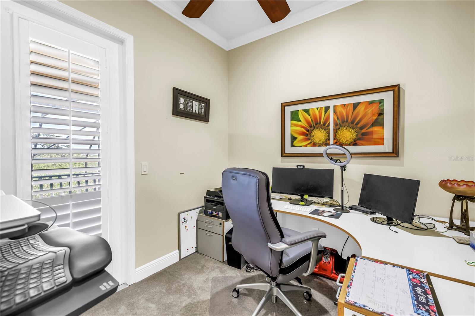 Tarpon Springs, Florida, 34689, United States, 4 Bedrooms Bedrooms, ,4 BathroomsBathrooms,Residential,For Sale,1975840