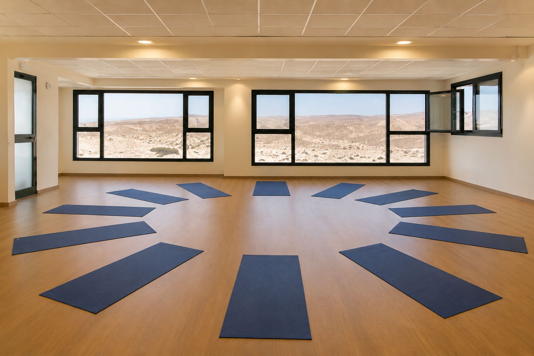  Private Desert Villa with an Infinity Pool and Panoramic Arava Views - 物件實景