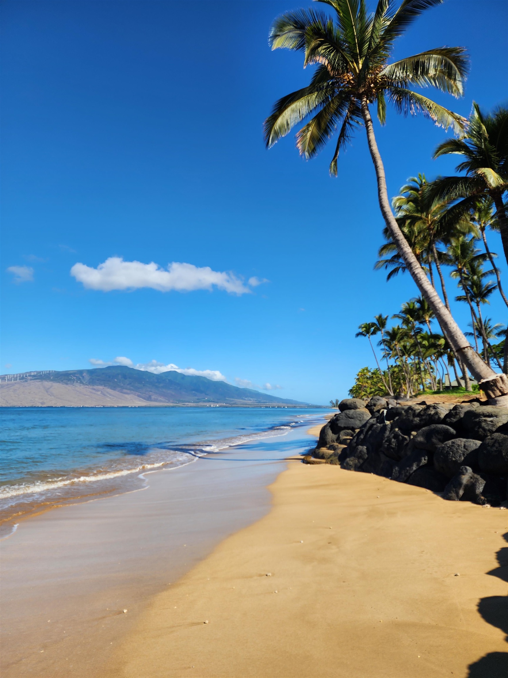 Kihei, Hawaii, 96753, United States, 1 Bedroom Bedrooms, ,1 BathroomBathrooms,Residential,For Sale,1994742