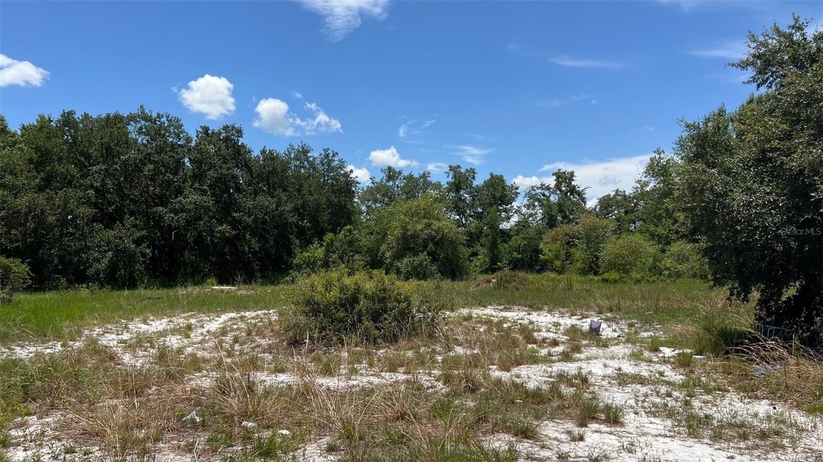 AUBURNDALE, Florida, 33823, United States, ,Land,For Sale,1977523