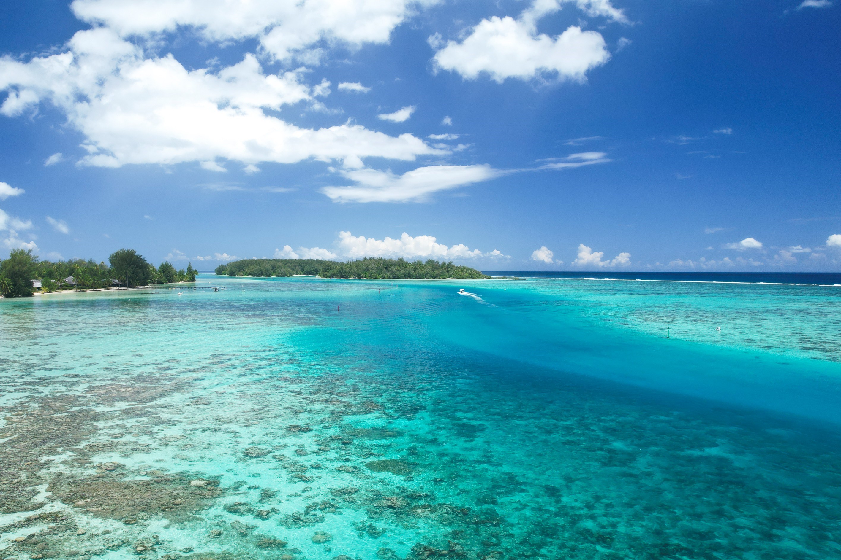  Moorea - Haapiti - Property on the lagoon shore - 物件實景
