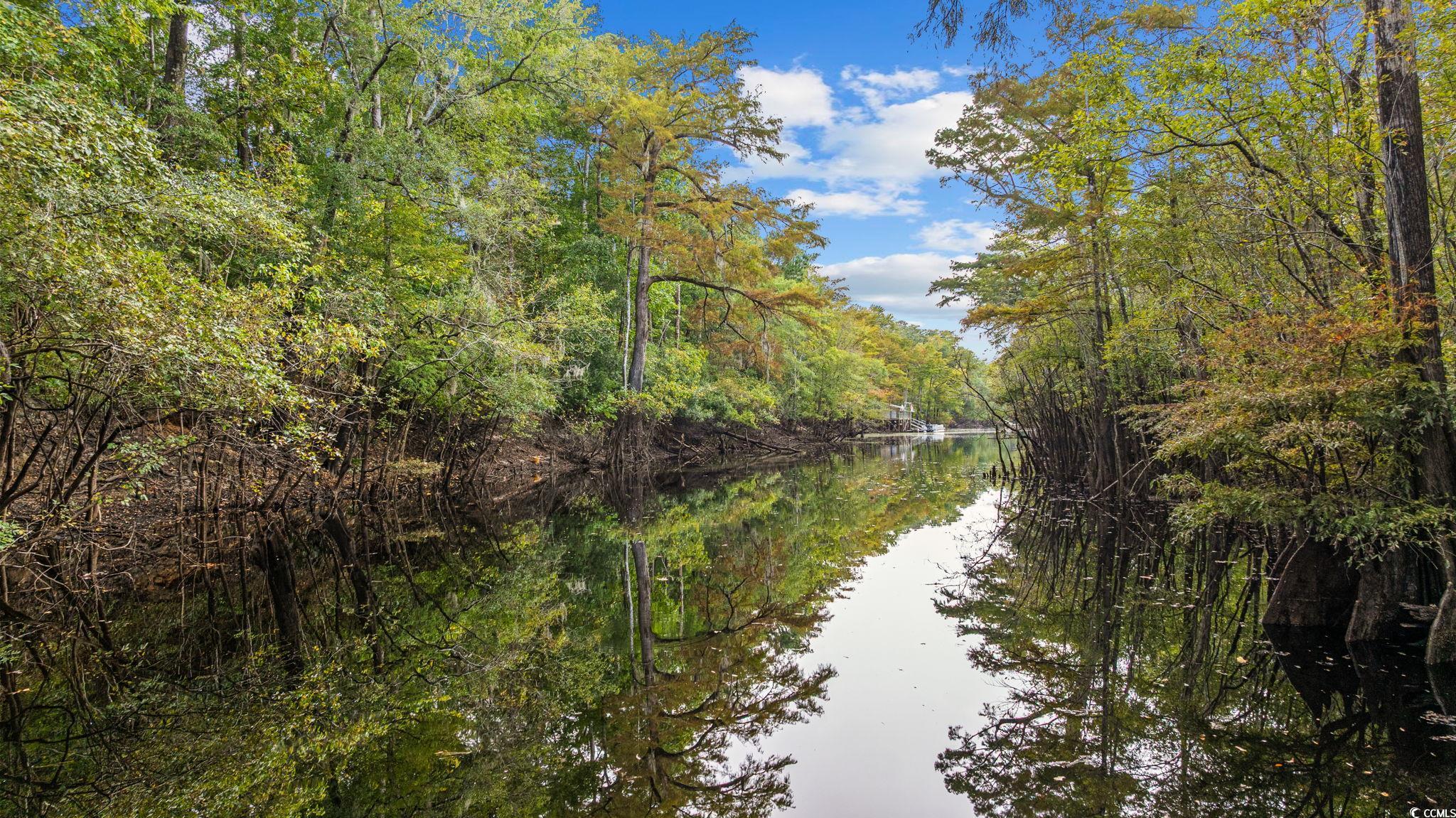Conway, South Carolina, 29526, United States, 4 Bedrooms Bedrooms, ,3 BathroomsBathrooms,Residential,For Sale,1987426
