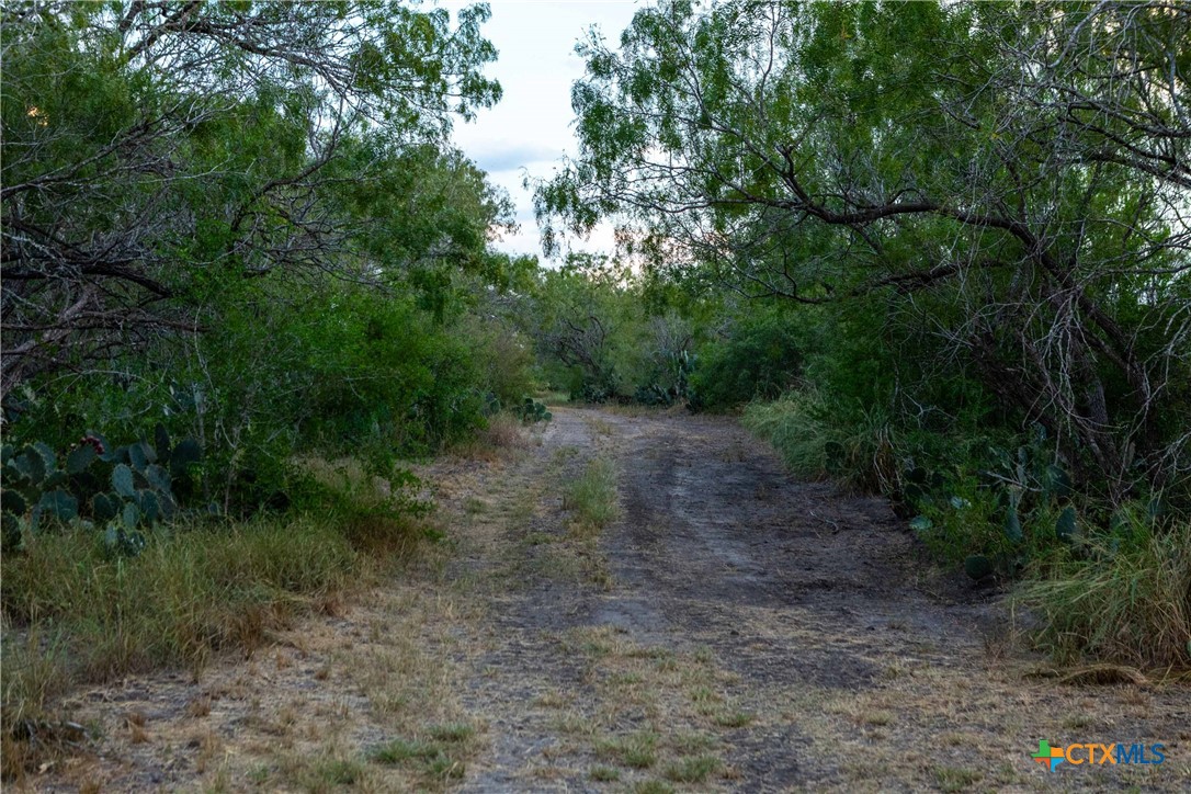 000 CR376, George West, Texas, 78022, United States, ,Land,For Sale,000 CR376,1676850