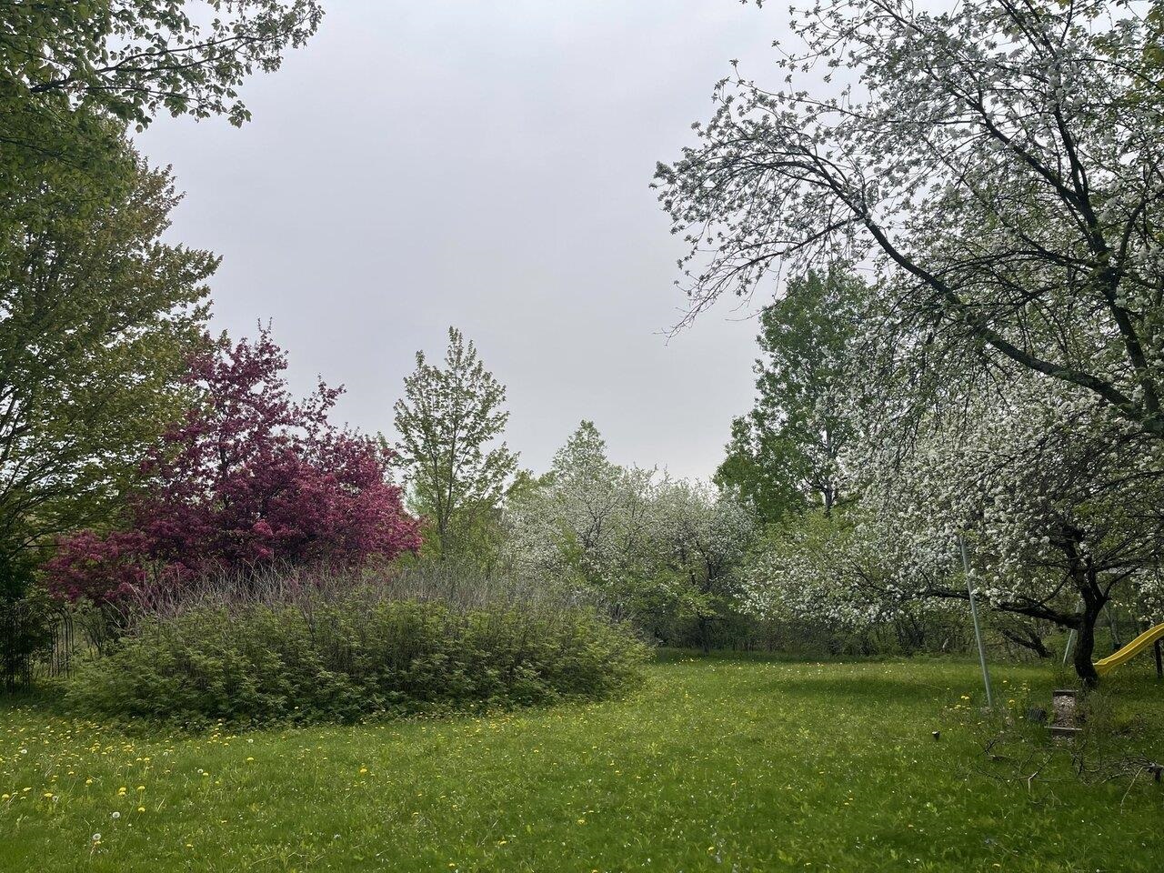 51 Rainy View Lane, Essex, Vermont, 05452, United States, ,Land,For Sale,51 Rainy View Lane,1446441
