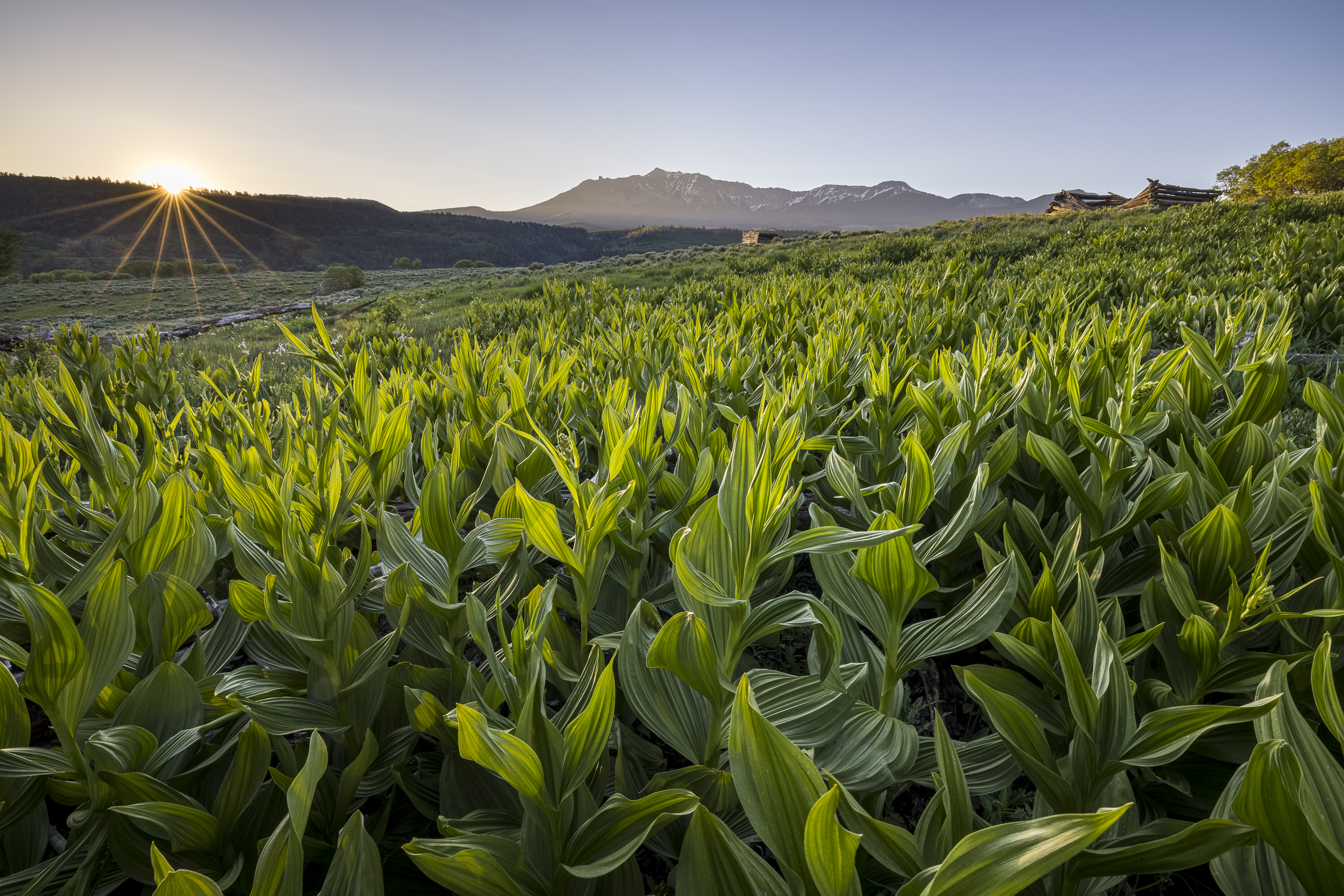  Telluride Renegade Ranch - 602 acres on Hastings Mesa - 物件實景