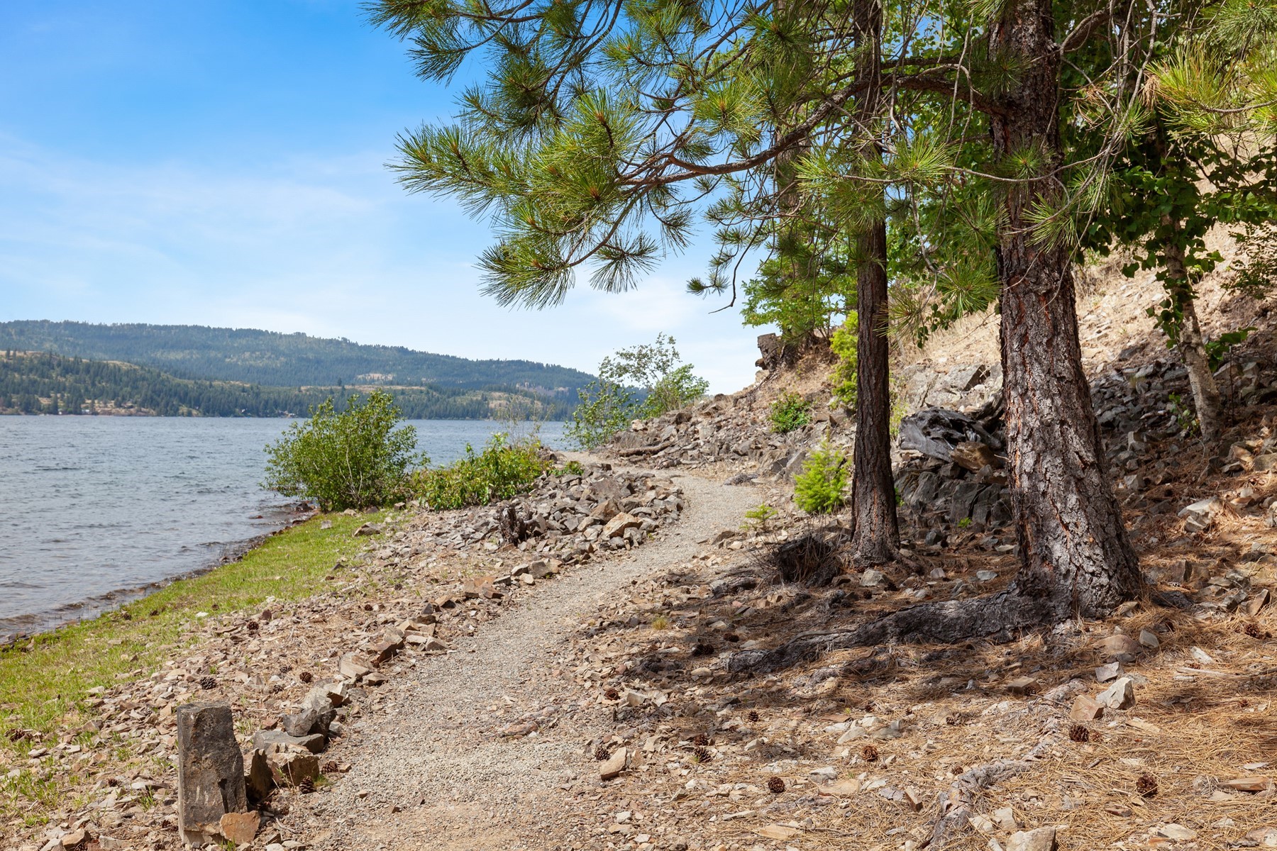  Captivating Upscale Log Lakefront Retreat - 物件實景