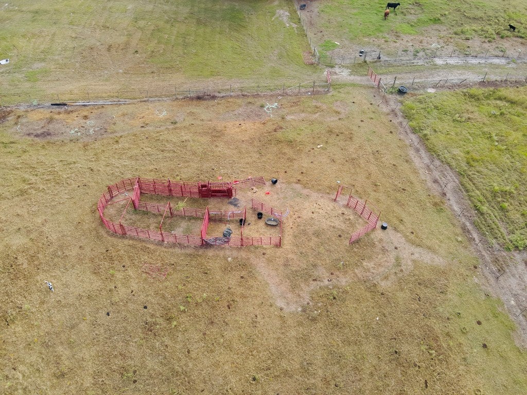 Abbeville, Georgia, 31001, United States, ,Land,For Sale,1975130