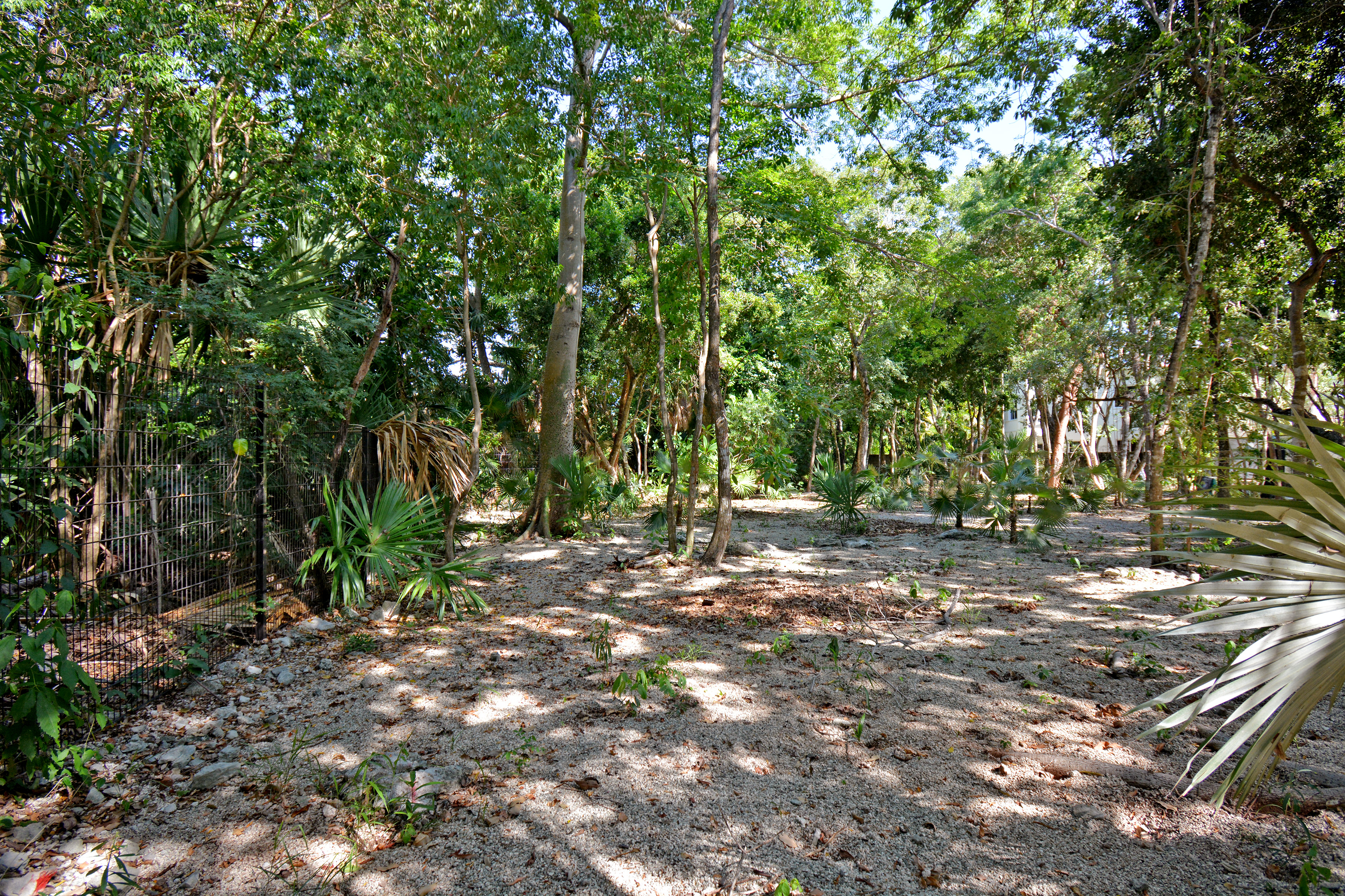  RESIDENTIAL LOT - 物件實景