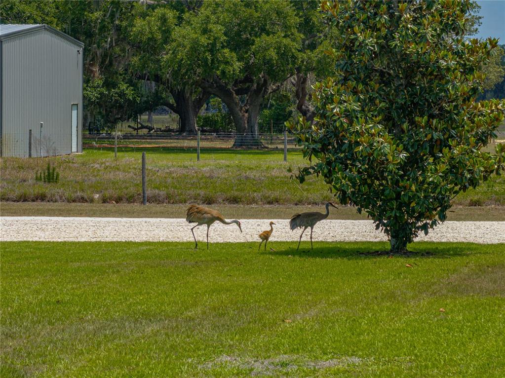 Lake Wales, Florida, 33898, United States, 3 Bedrooms Bedrooms, ,3 BathroomsBathrooms,Residential,For Sale,1793188