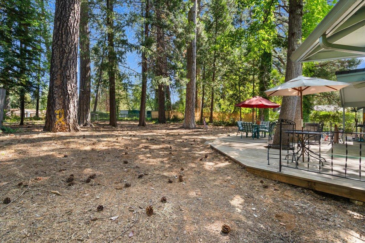 Nevada City, California, 95959, United States, 3 Bedrooms Bedrooms, ,2 BathroomsBathrooms,Residential,For Sale,1924394