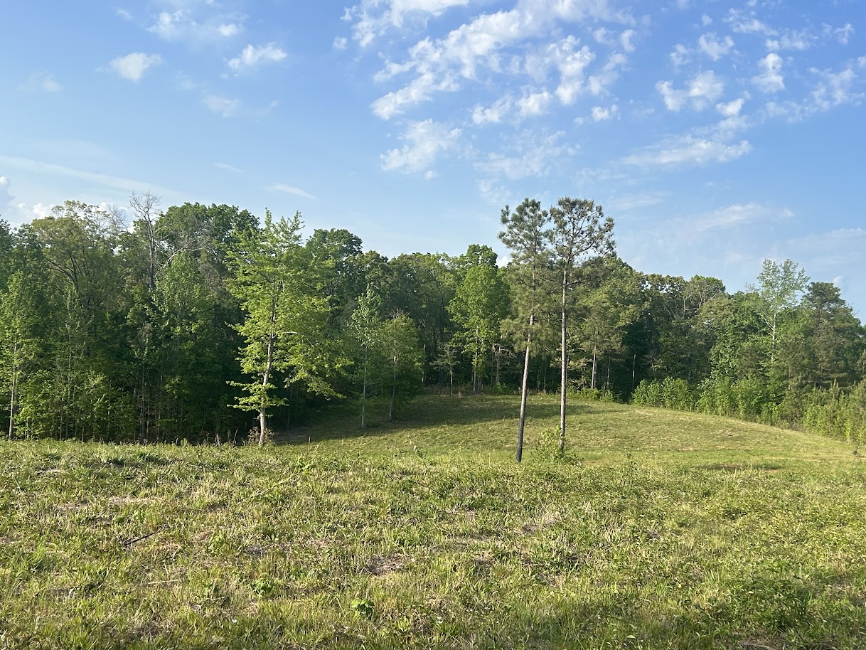 Roopville, Georgia, 30170, United States, ,Residential,For Sale,1780793