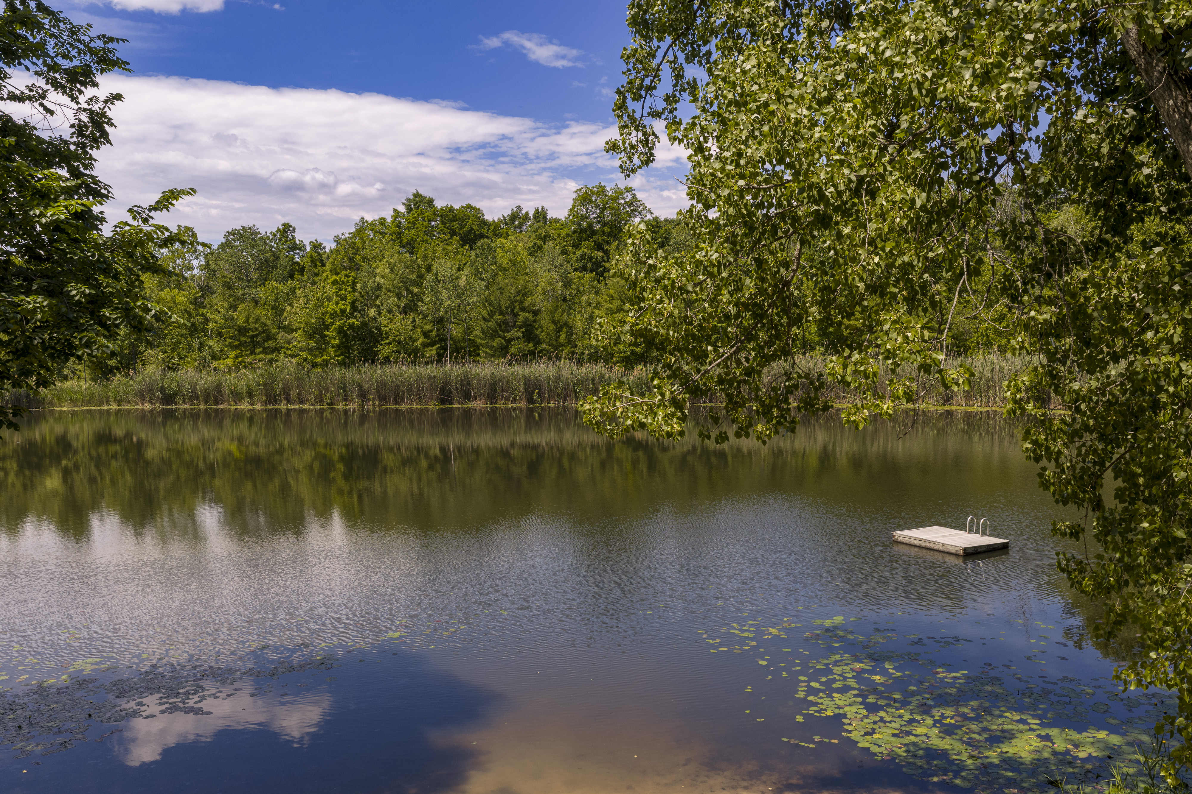  Spectacularly Renovated Maiden Lake Retreat - 物件實景