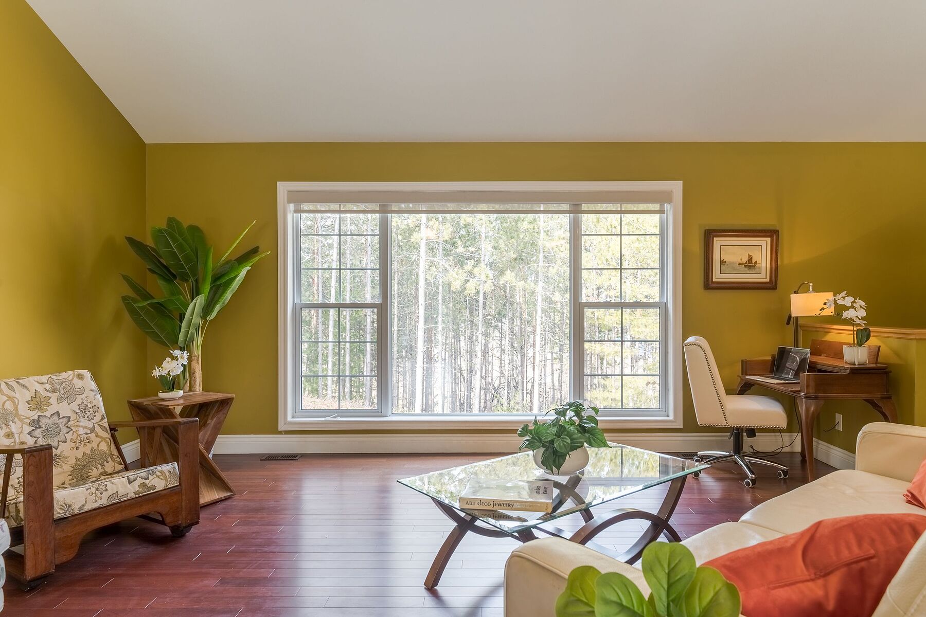  Magic of Warkworth - 物件實景