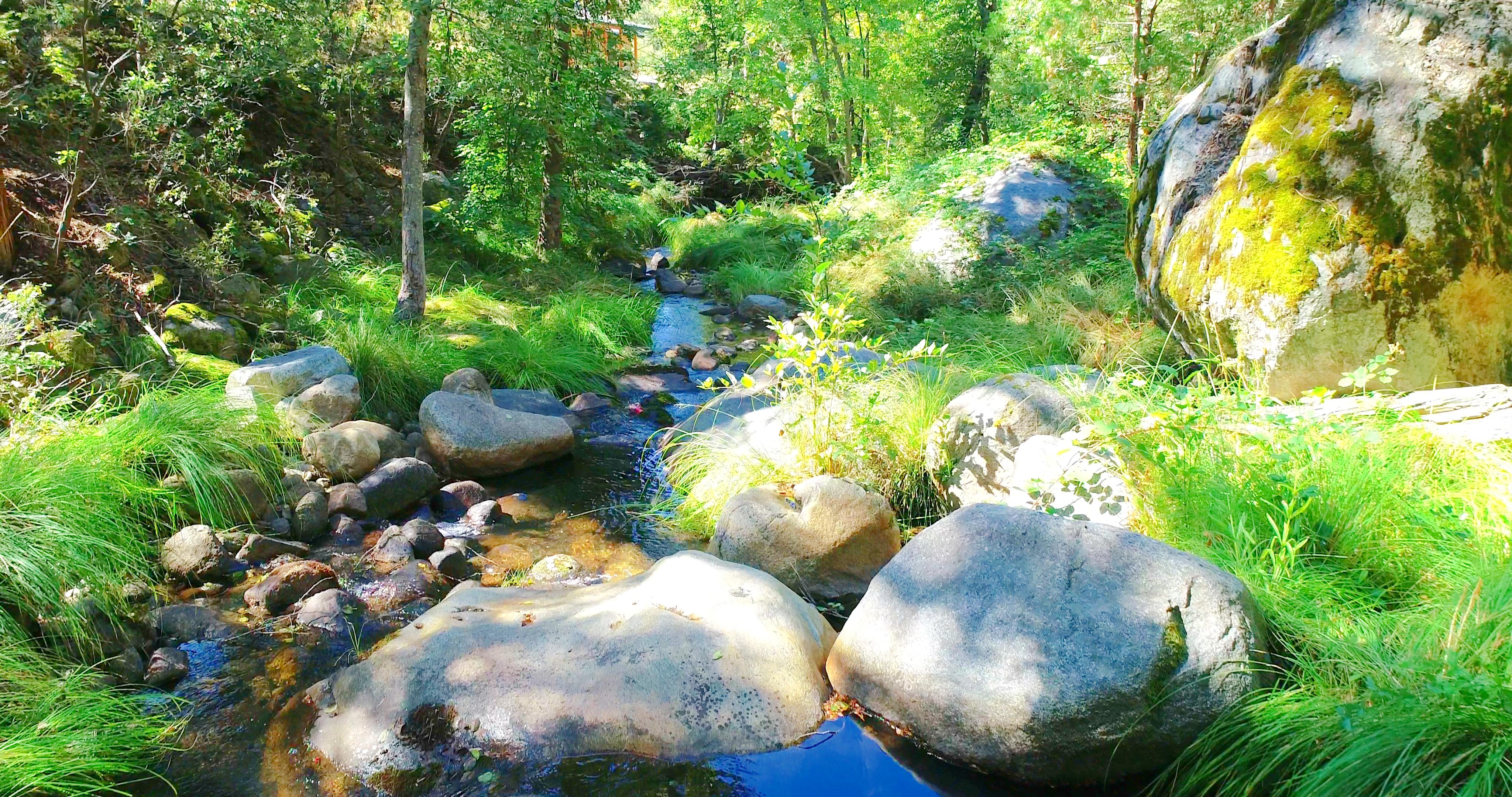 Mariposa, California, 95338, United States, 3 Bedrooms Bedrooms, ,3 BathroomsBathrooms,Residential,For Sale,1973787