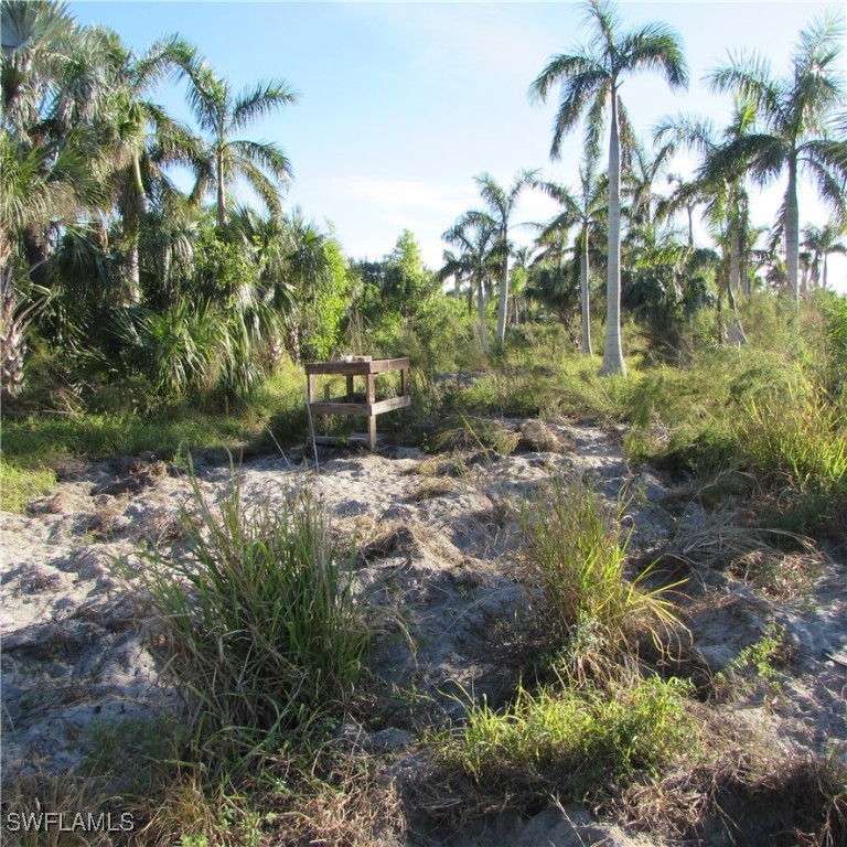 St. James City, Florida, 33956, United States, ,Residential,For Sale,1852355