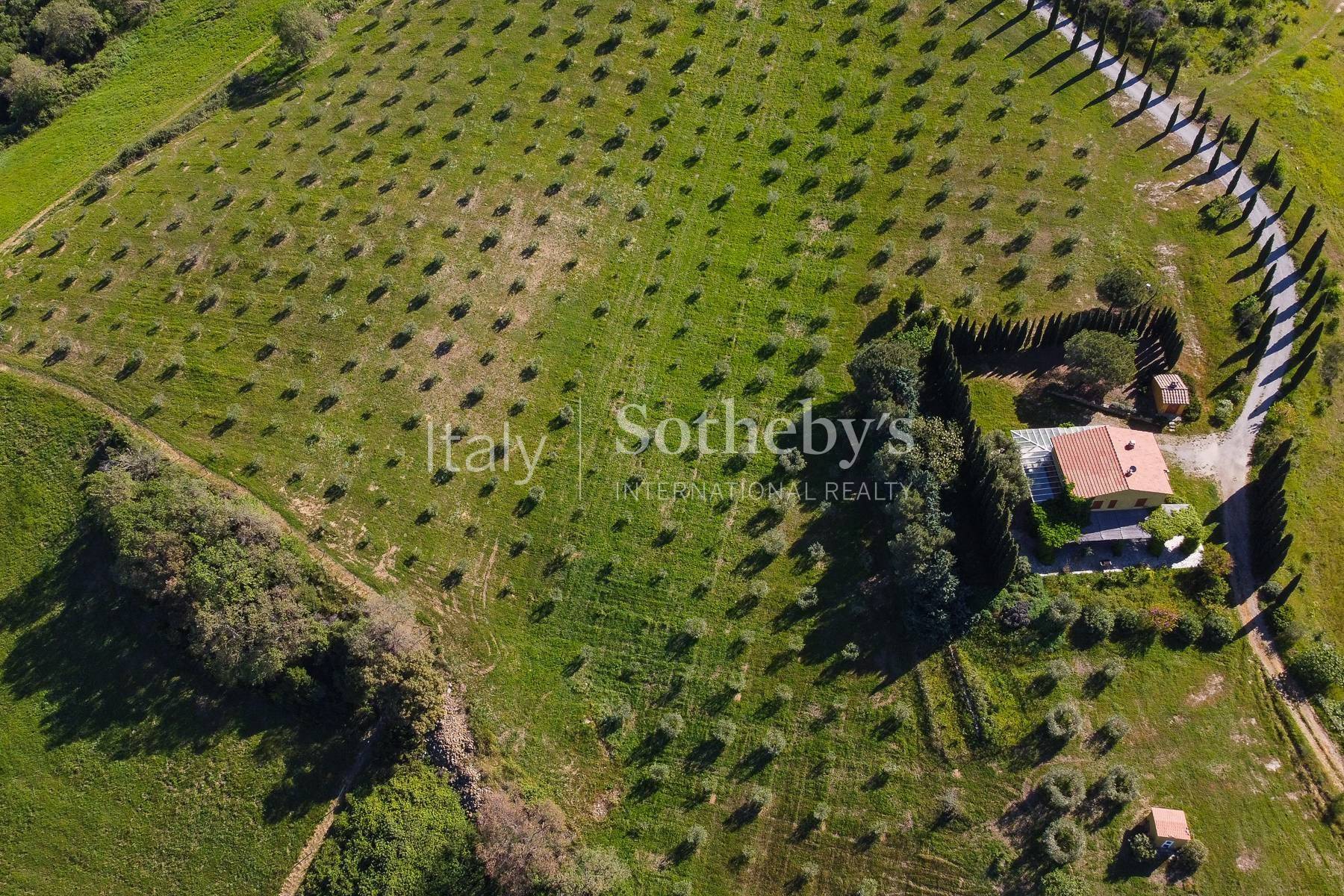  Exclusive wine estate in the Tuscan hills - 物件實景