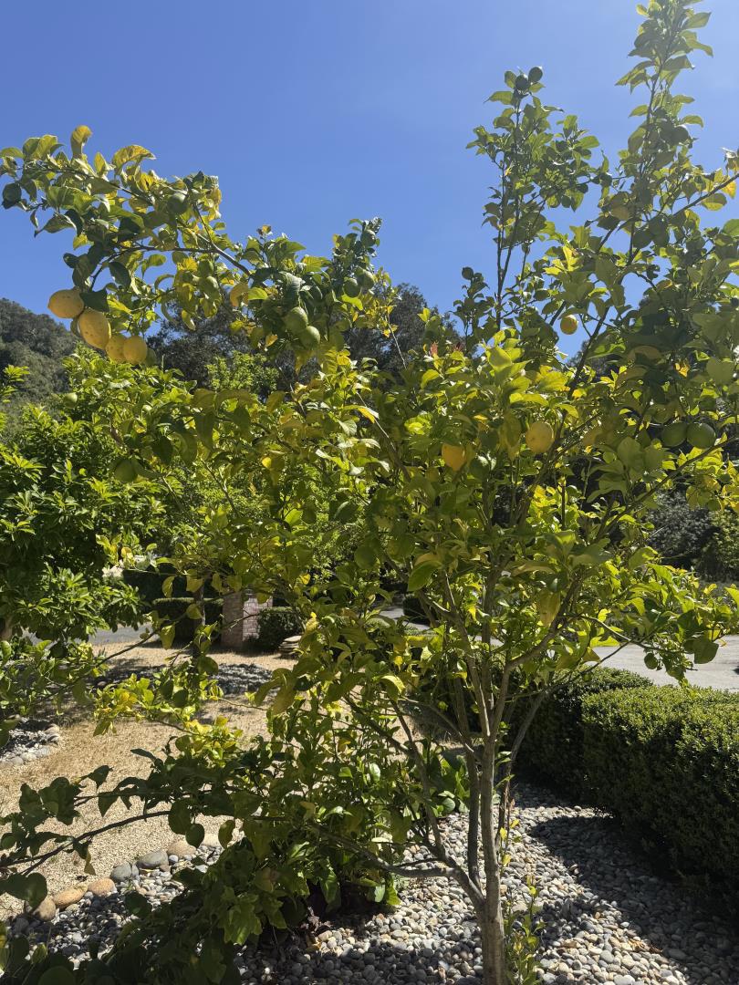 Aromas, California, 95004, United States, 3 Bedrooms Bedrooms, ,3 BathroomsBathrooms,Residential,For Sale,2048722