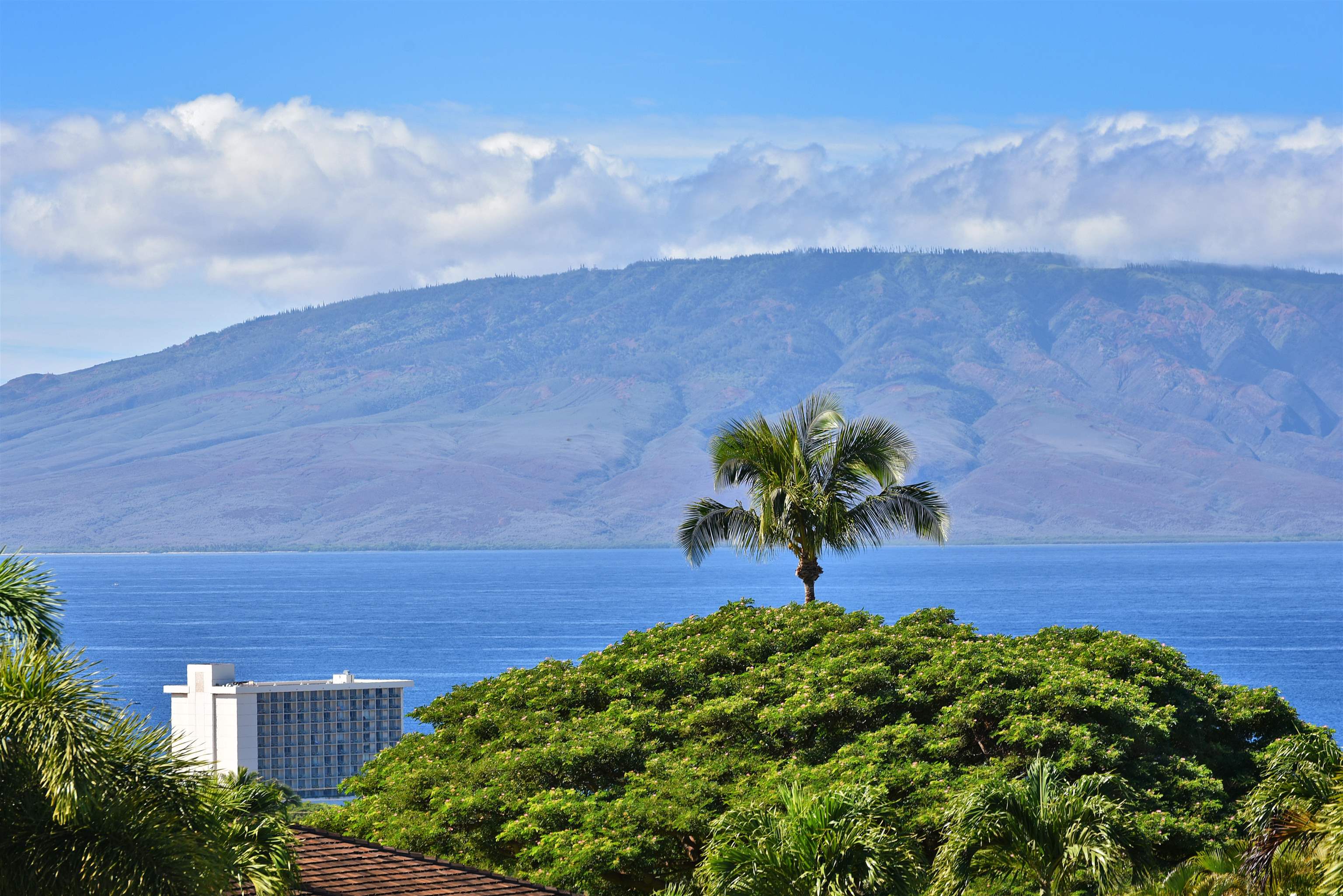 Lahaina, Hawaii, 96761, United States, 1 Bedroom Bedrooms, ,1 BathroomBathrooms,Residential,For Sale,1987609
