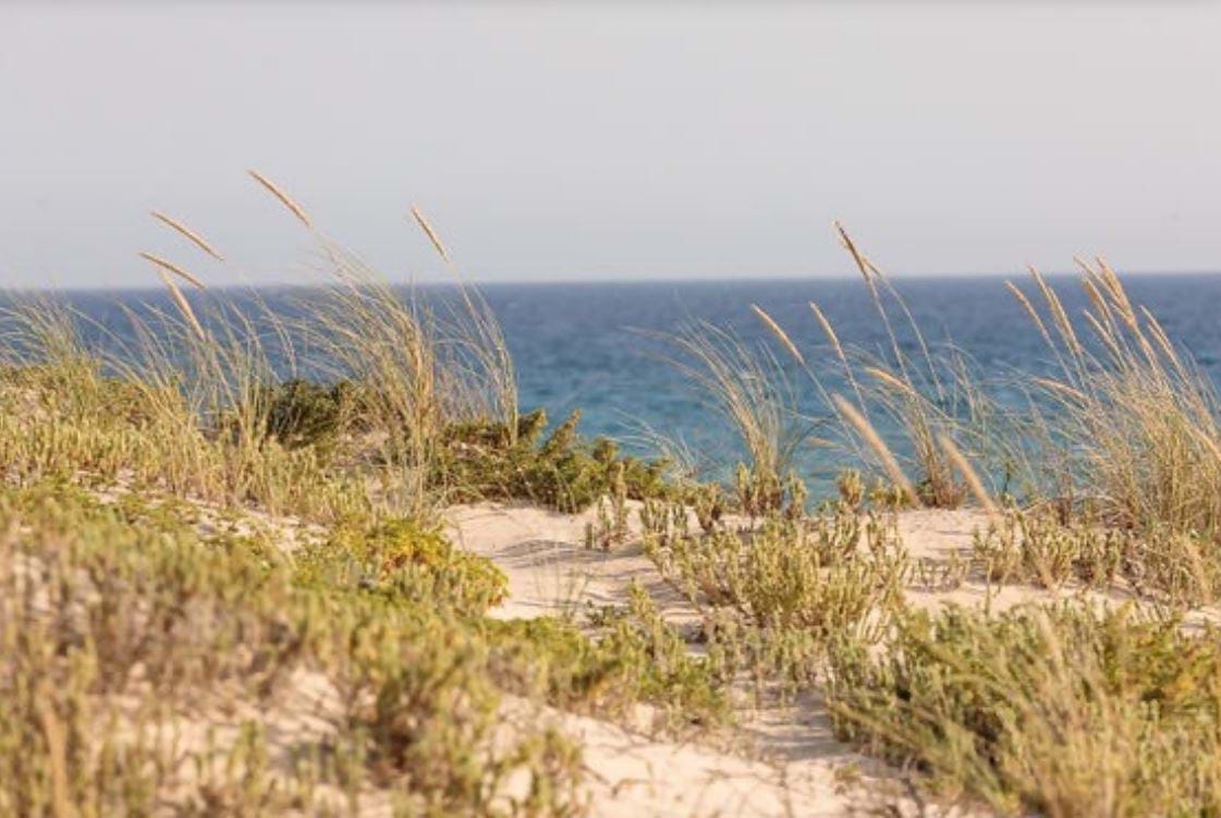 Grândola, Setúbal, 7570-788, PT, 4 Bedrooms Bedrooms, ,7 BathroomsBathrooms,Residential,For Sale,1700687