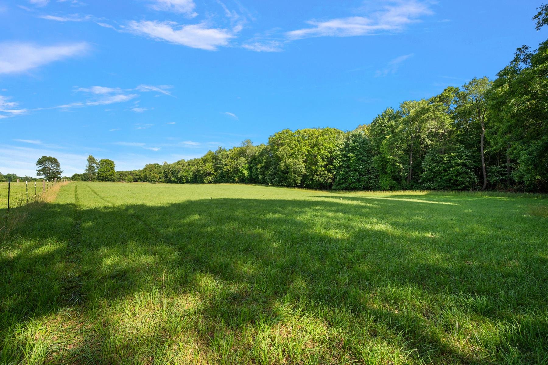  Groveland Township - 物件實景