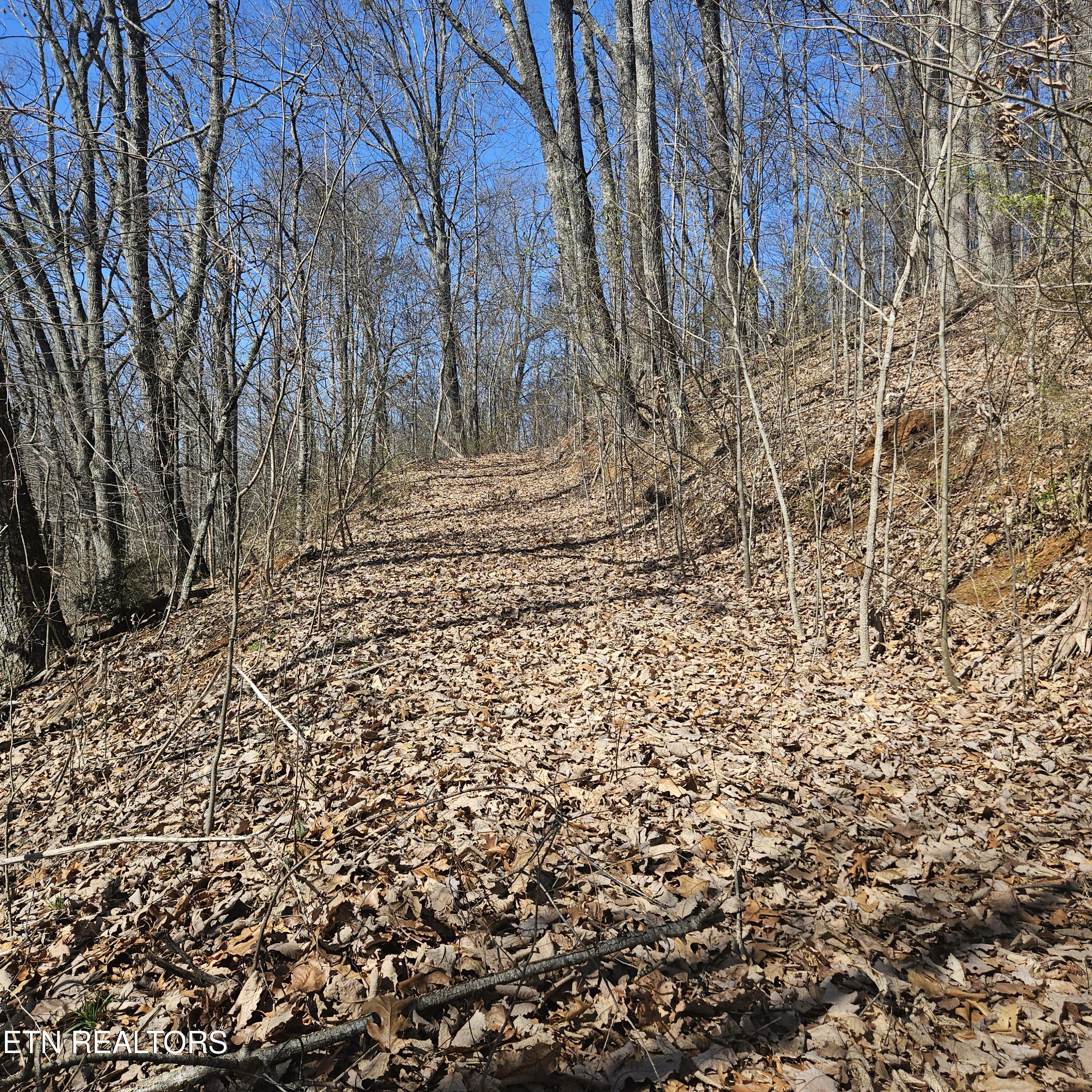 Tellico Plains, Tennessee, 37385, United States, ,Residential,For Sale,1922105