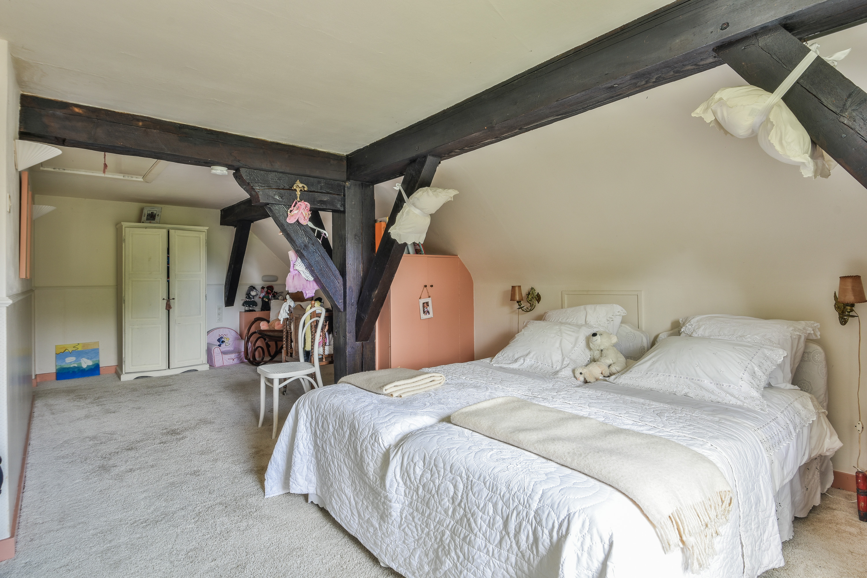  The Stachouwerweg Heritage Farmhouse Estate - 物件實景
