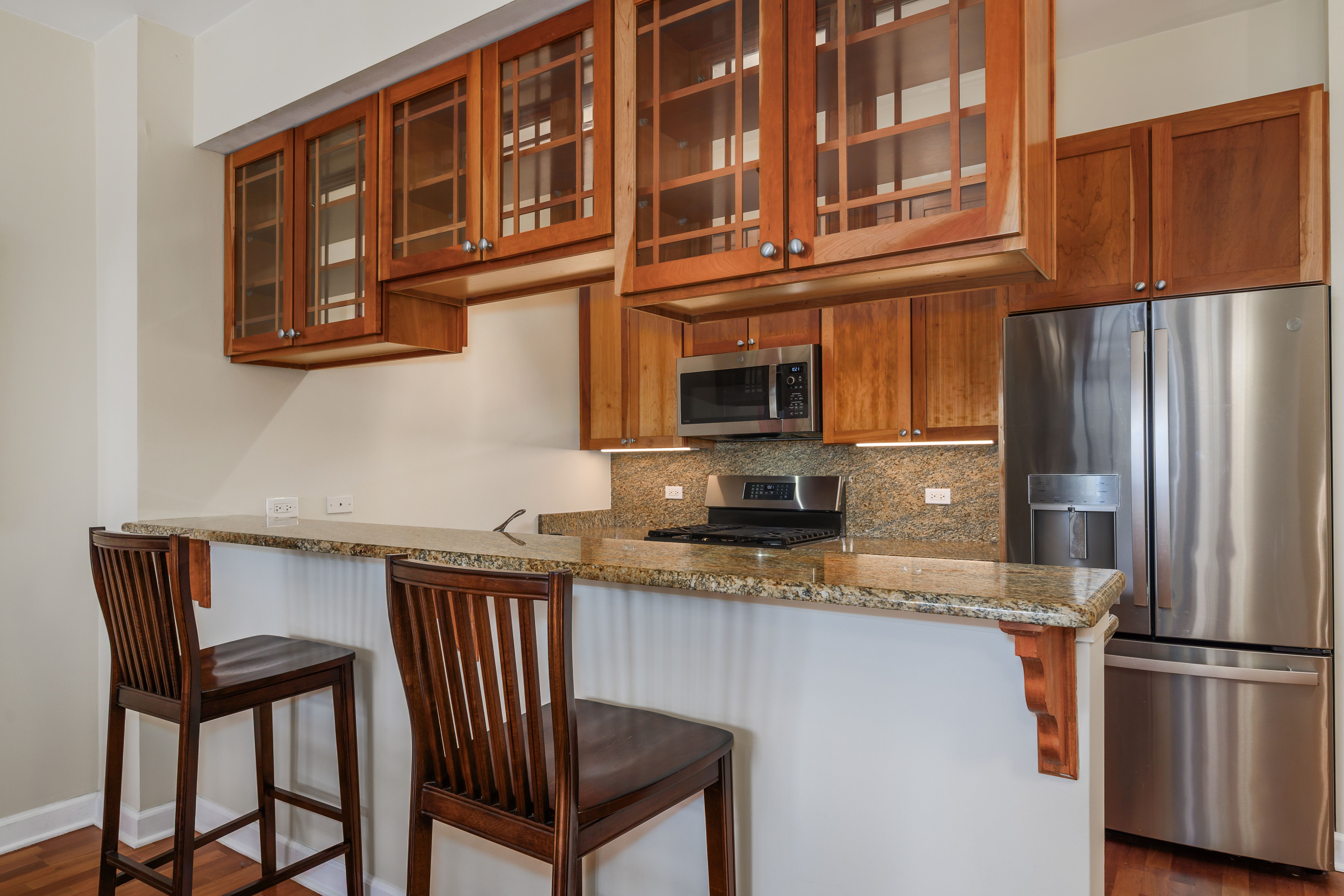  Wonderful One Bedroom Condo in South Loop