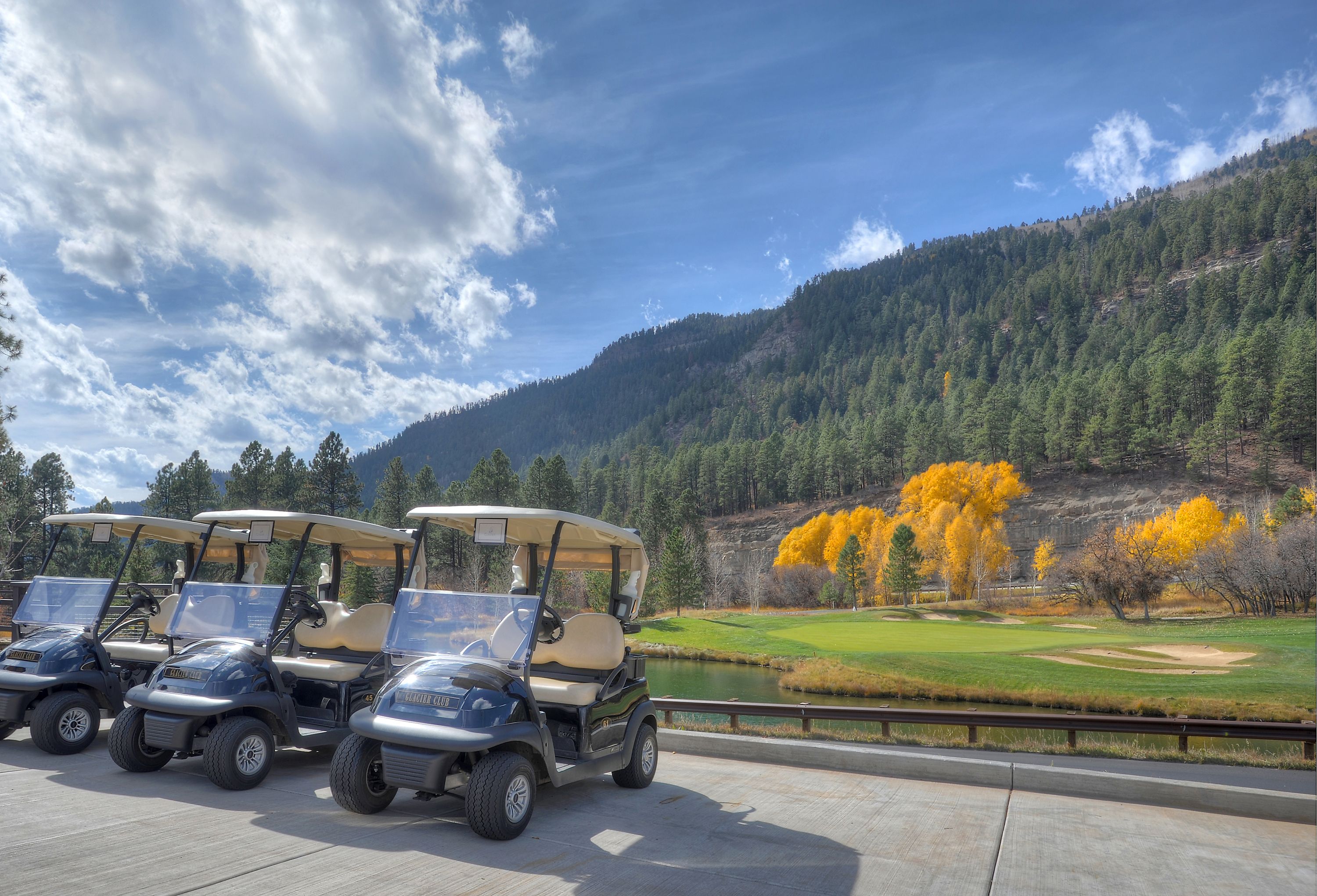  73 S Tamarron Drive #870, Durango, CO 81301 - 物件實景