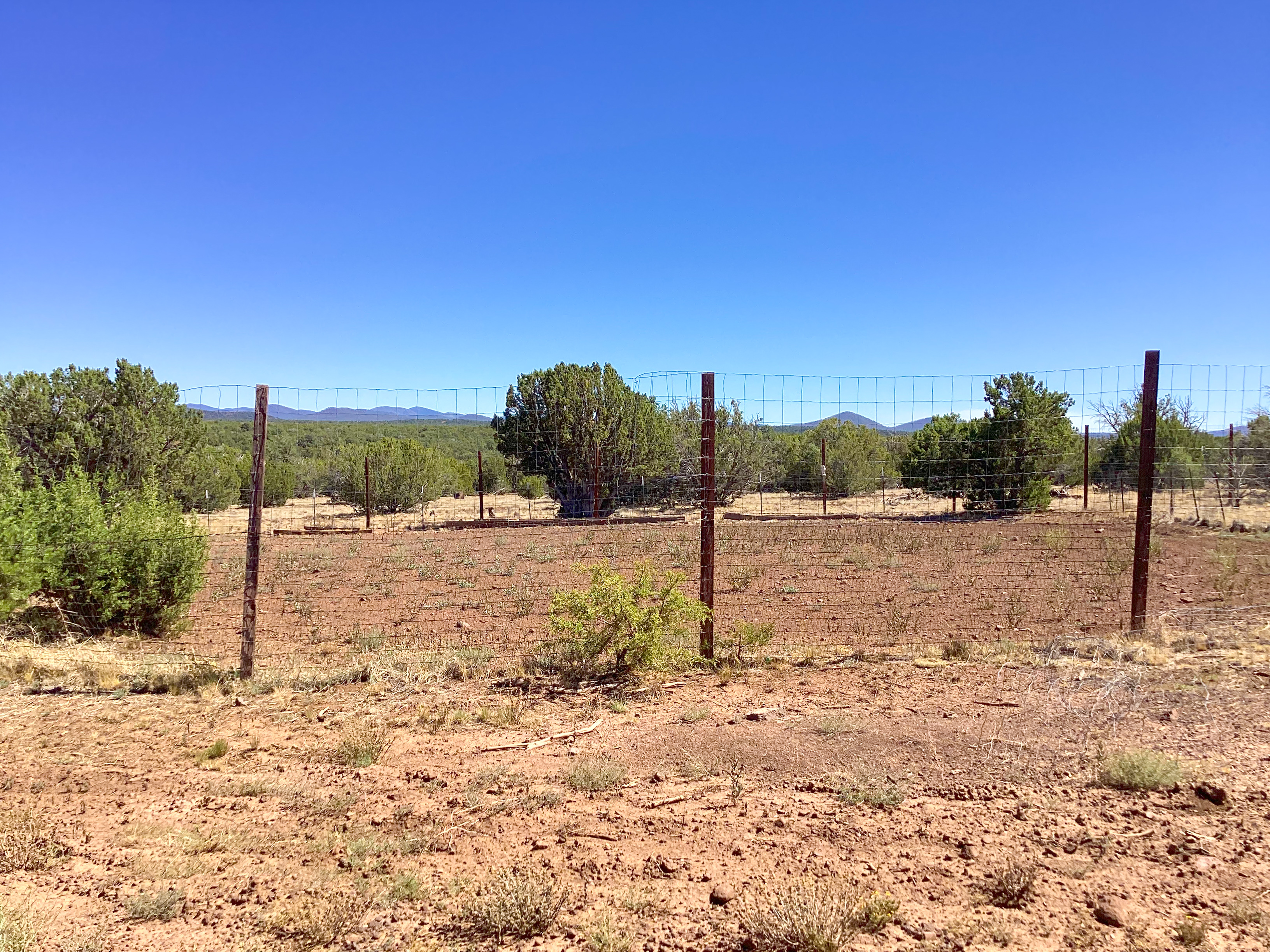 Concho, Arizona, 85924, United States, 4 Bedrooms Bedrooms, ,Residential,For Sale,2005351