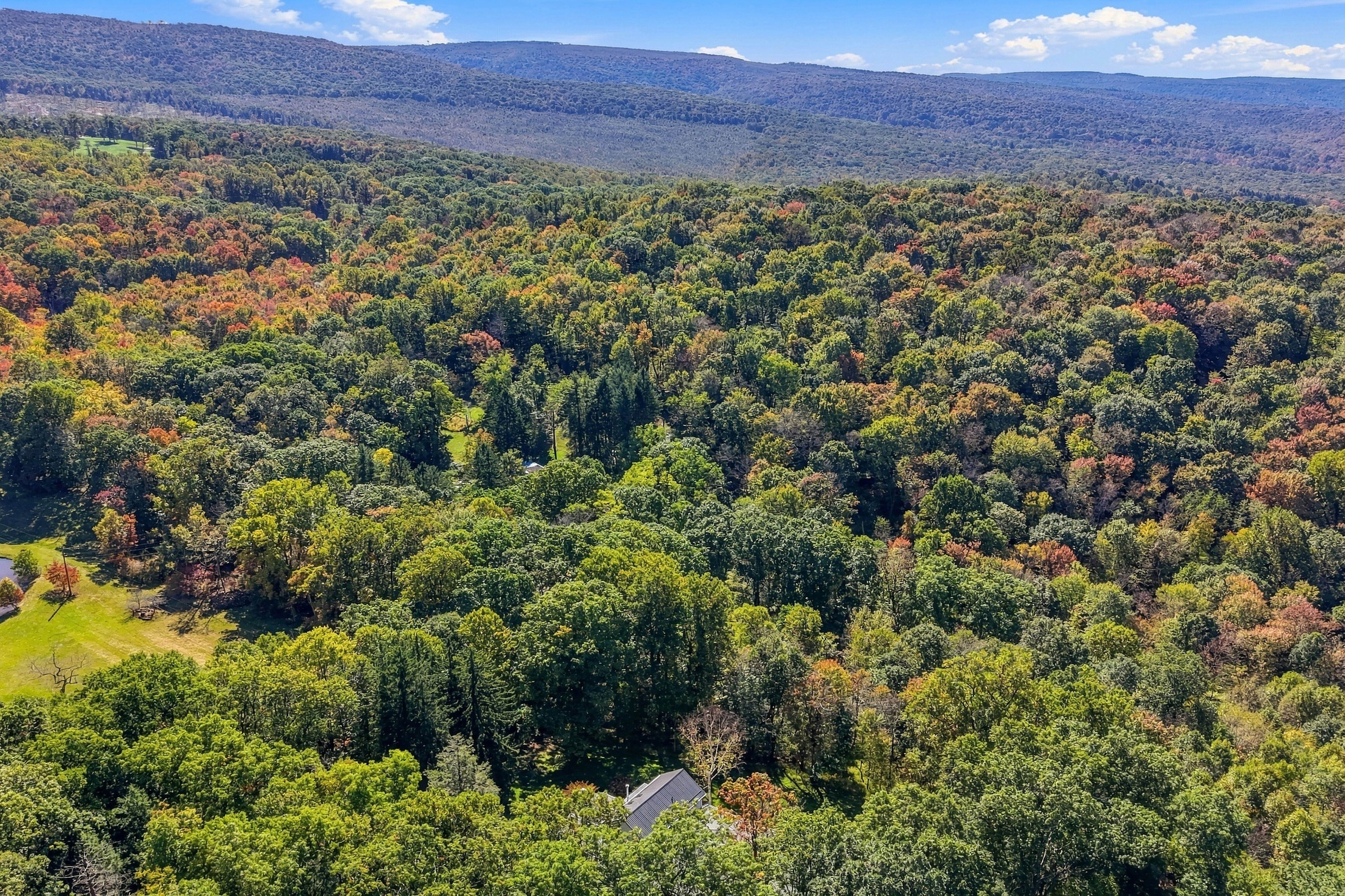  139 Forelle Lane, Ligonier, PA 15658 - 物件實景