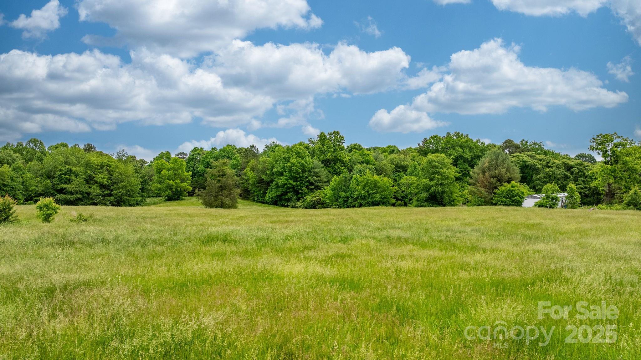 Stony Point, North Carolina, 28678, United States, ,Land,For Sale,1807126