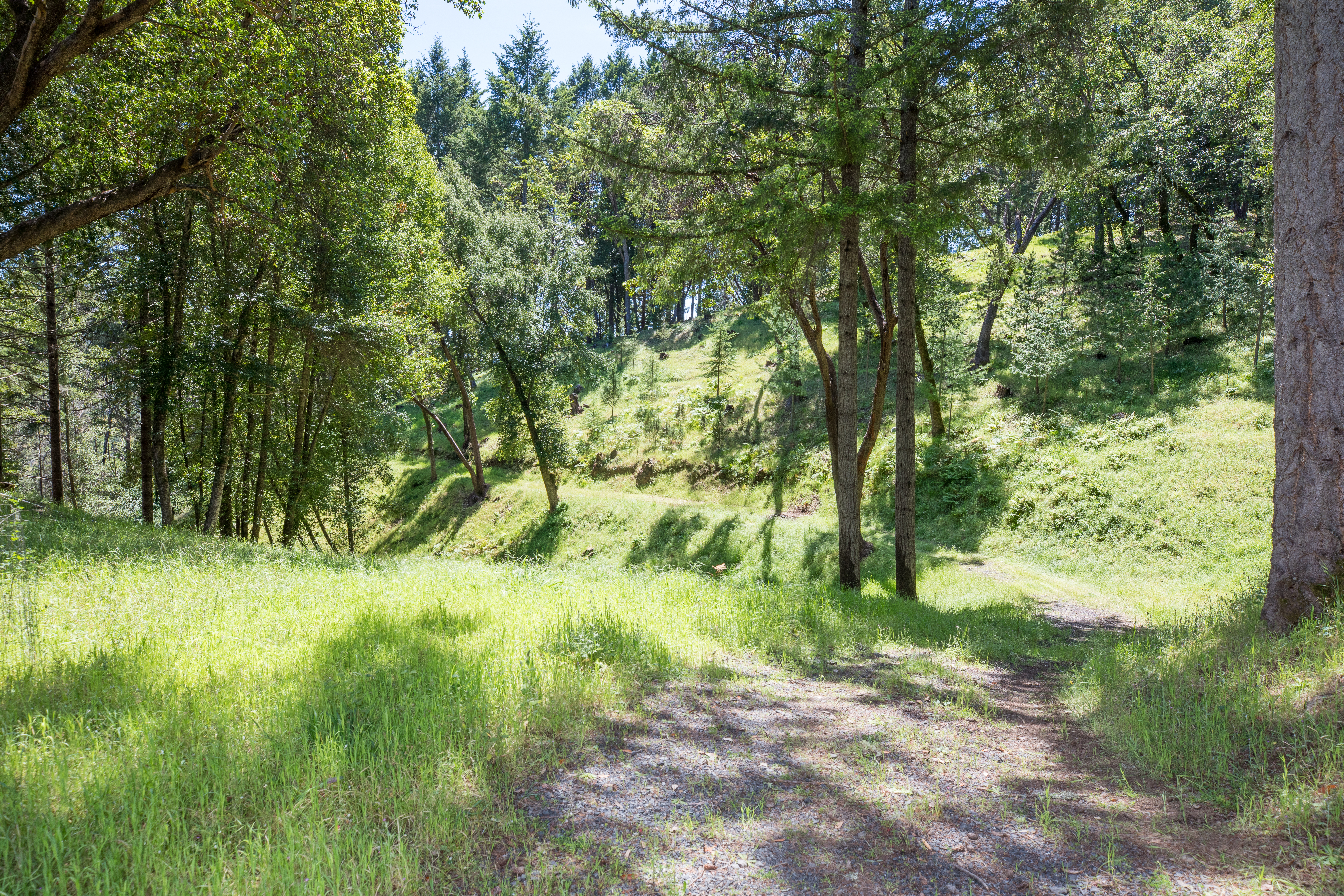  18900 Armstrong Woods Road, Guerneville, CA 95446 - 物件實景