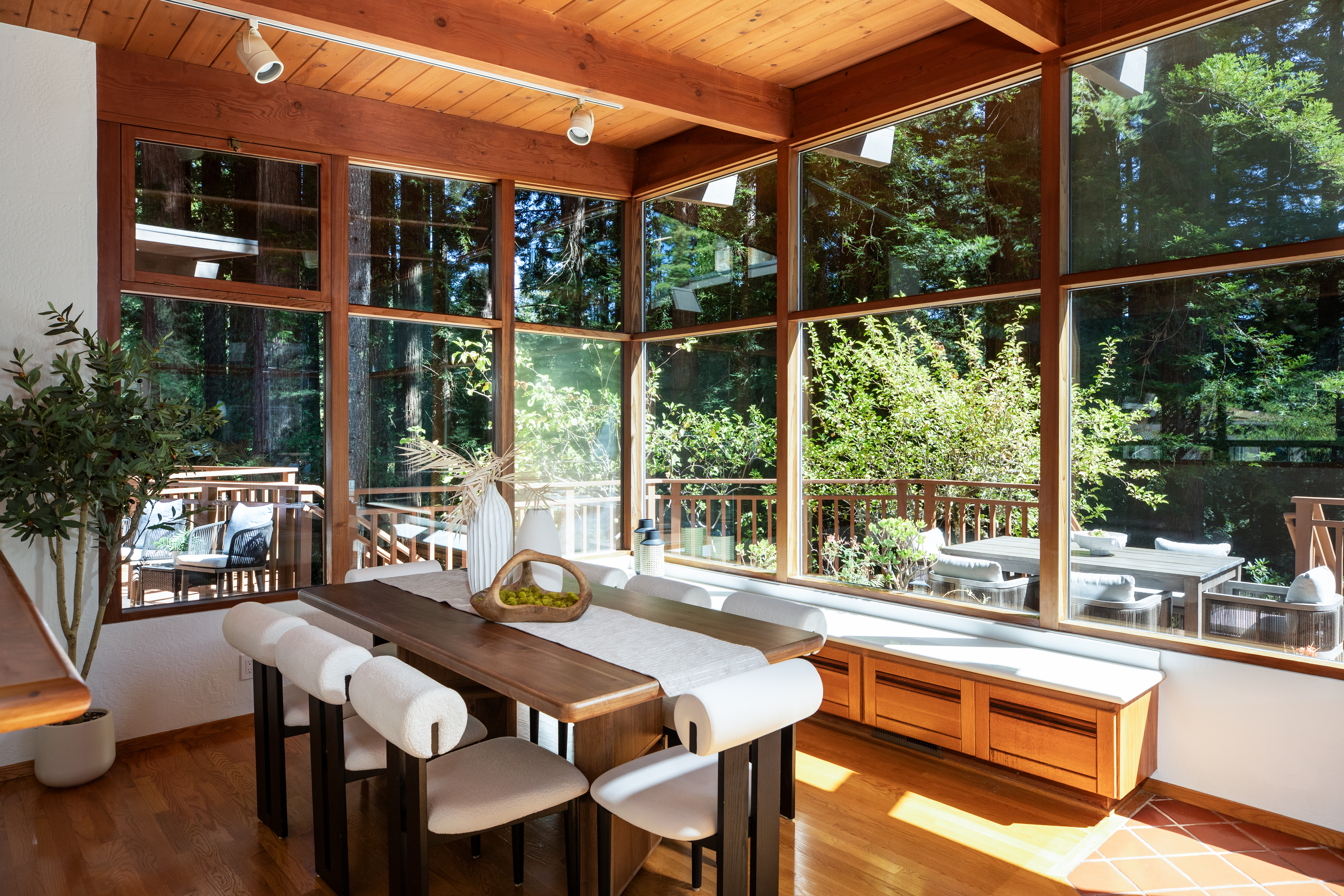  Sunlight Among the Redwoods - 物件實景