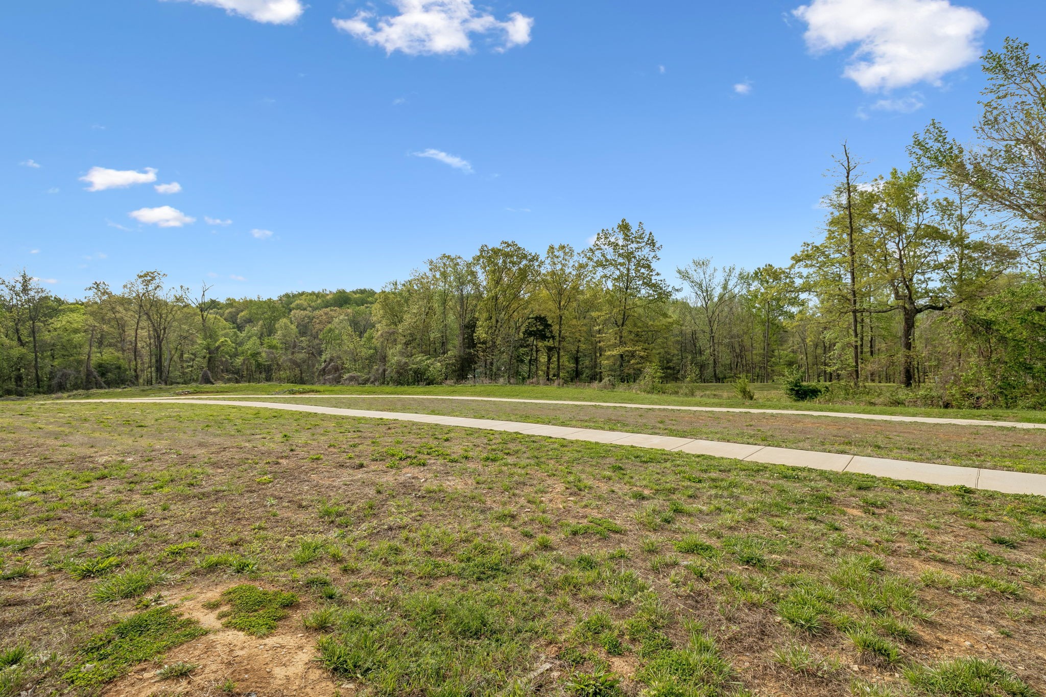  616 Streamview Dr, White House, TN, 37188 - 物件實景