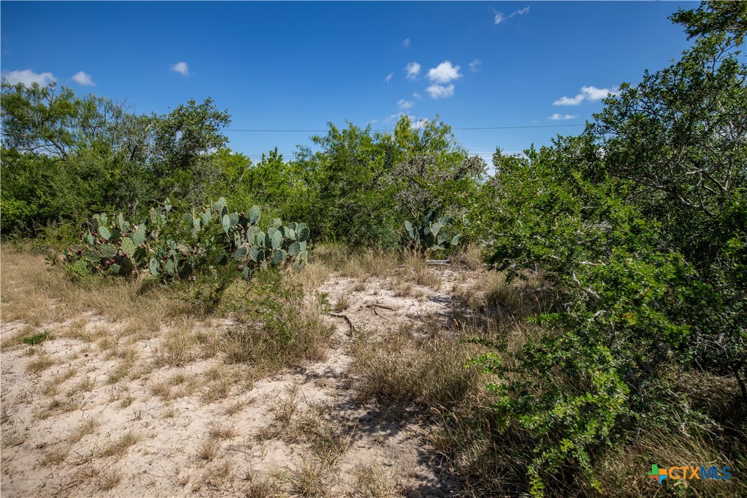 Kenedy, Texas, 78119, United States, ,Residential,For Sale,1967827