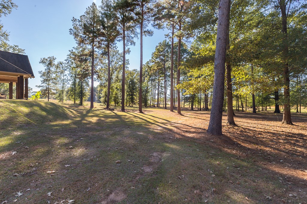 Etoile, Texas, 75944, United States, 3 Bedrooms Bedrooms, ,2 BathroomsBathrooms,Residential,For Sale,1989857