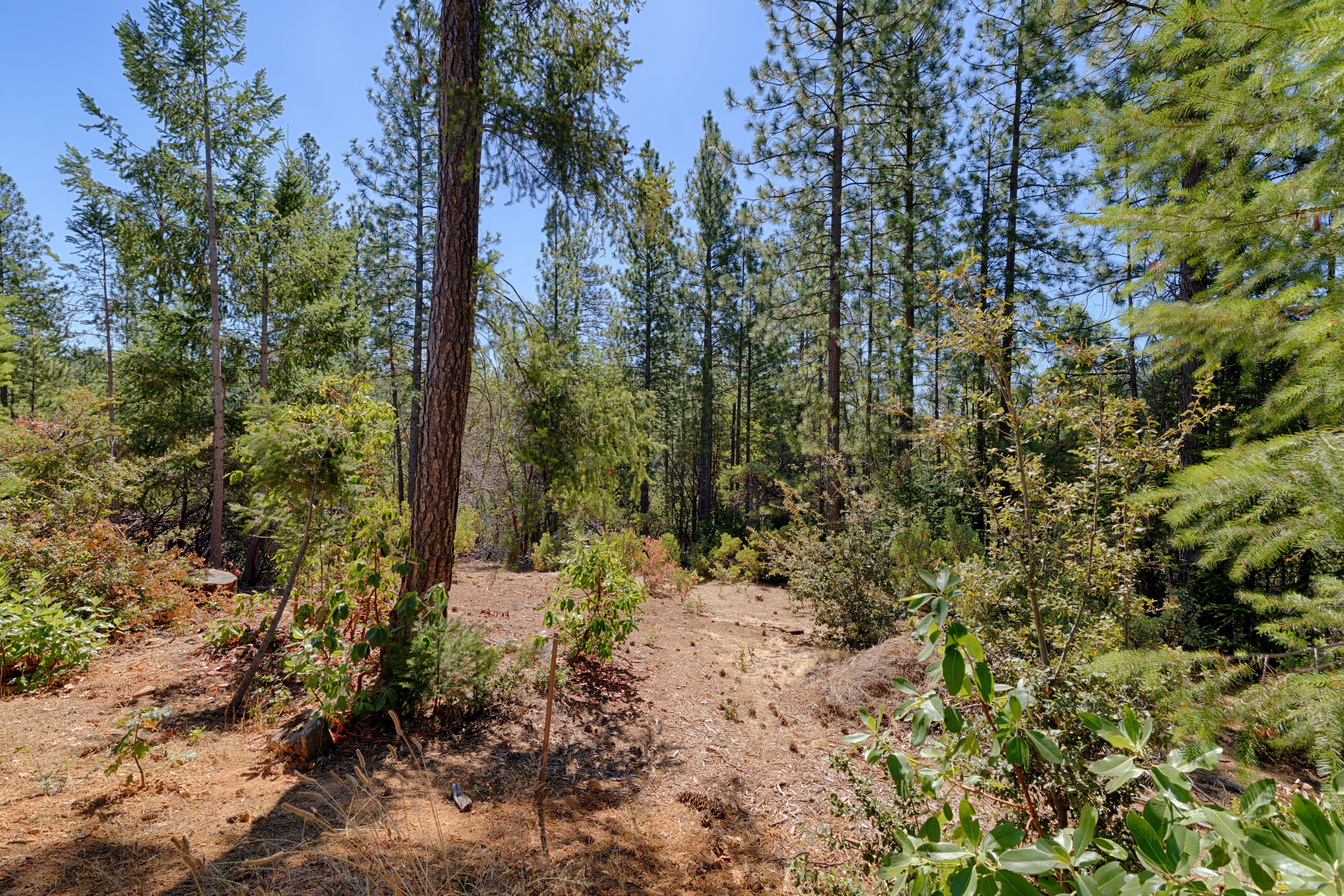  5540 Pine Ridge Rd., Foresthill, CA, 95631 - 物件實景