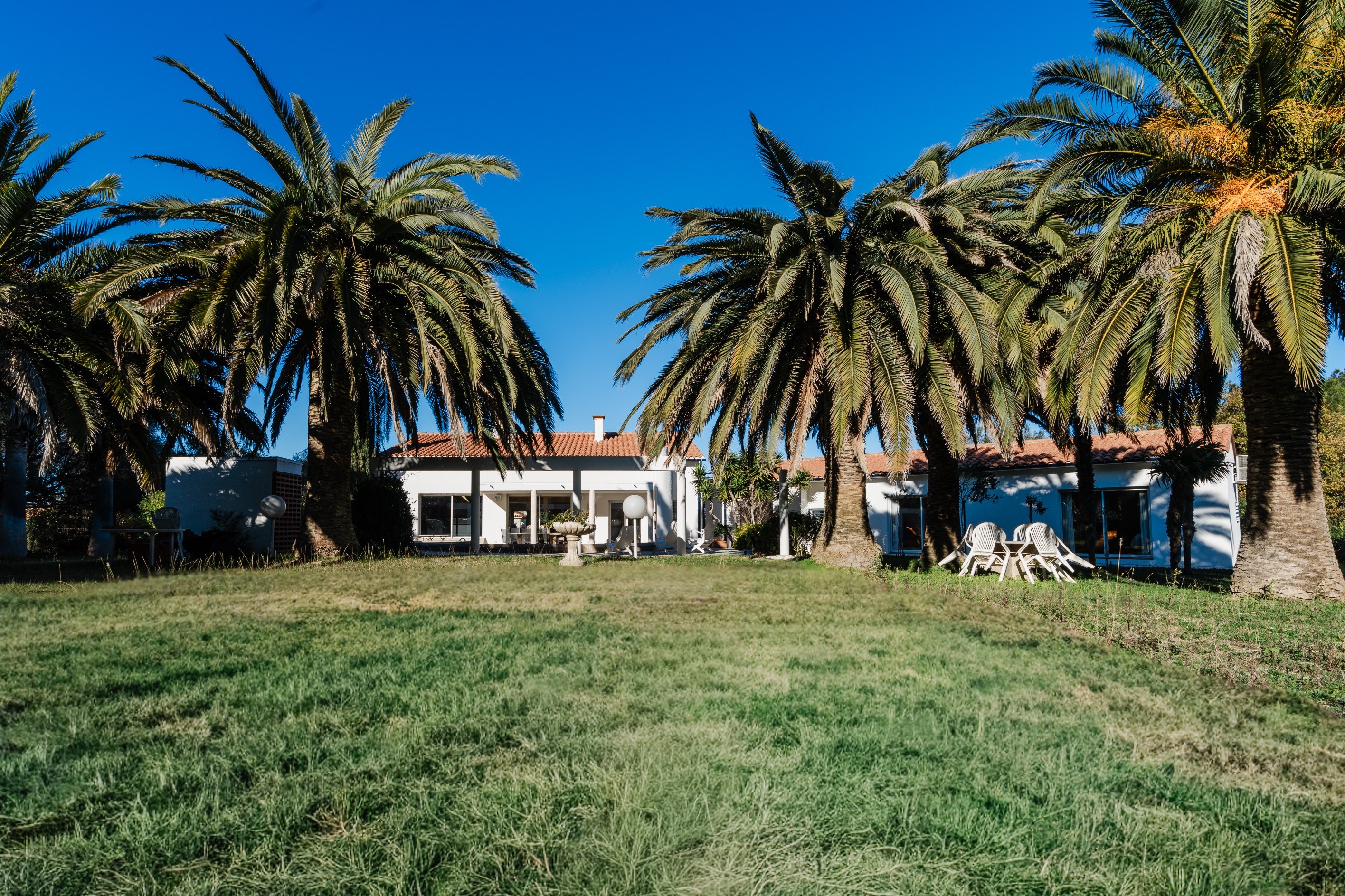  Single-storey living between sea and town - swimming pool - 物件實景