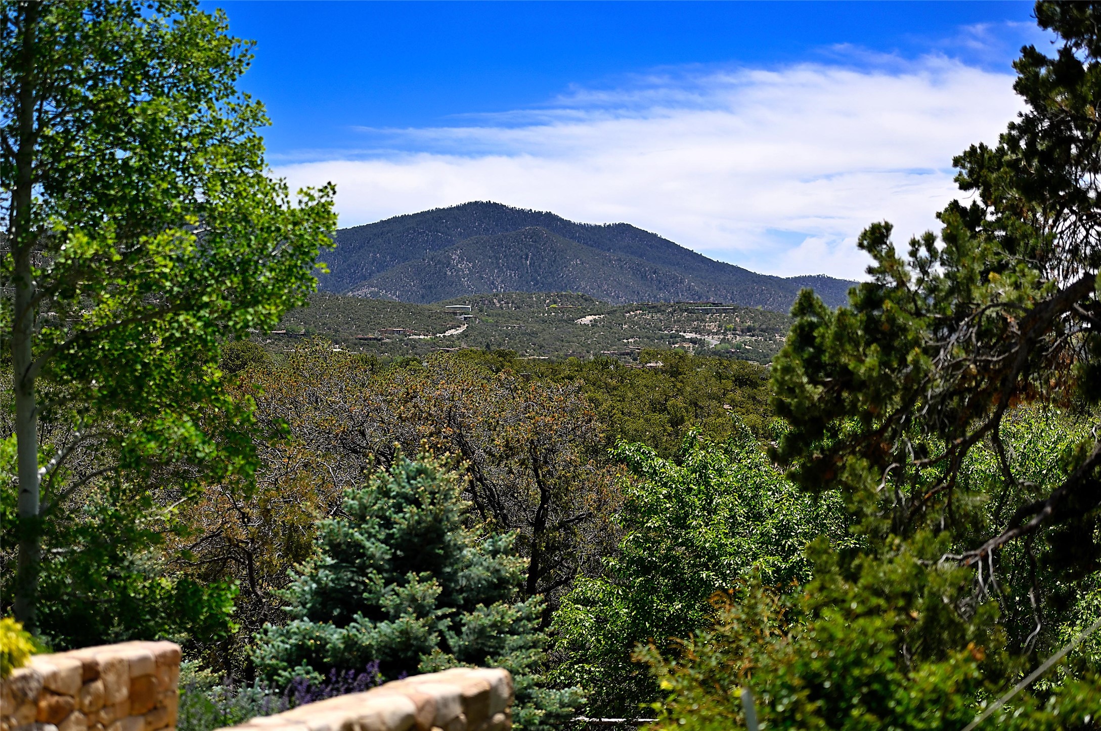  196 Circle Drive - 物件實景