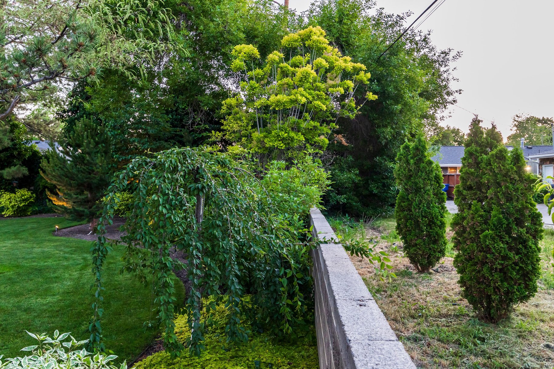  Tastefully Updated Holladay Rambler on .60 acre Manicured Lot - 物件實景