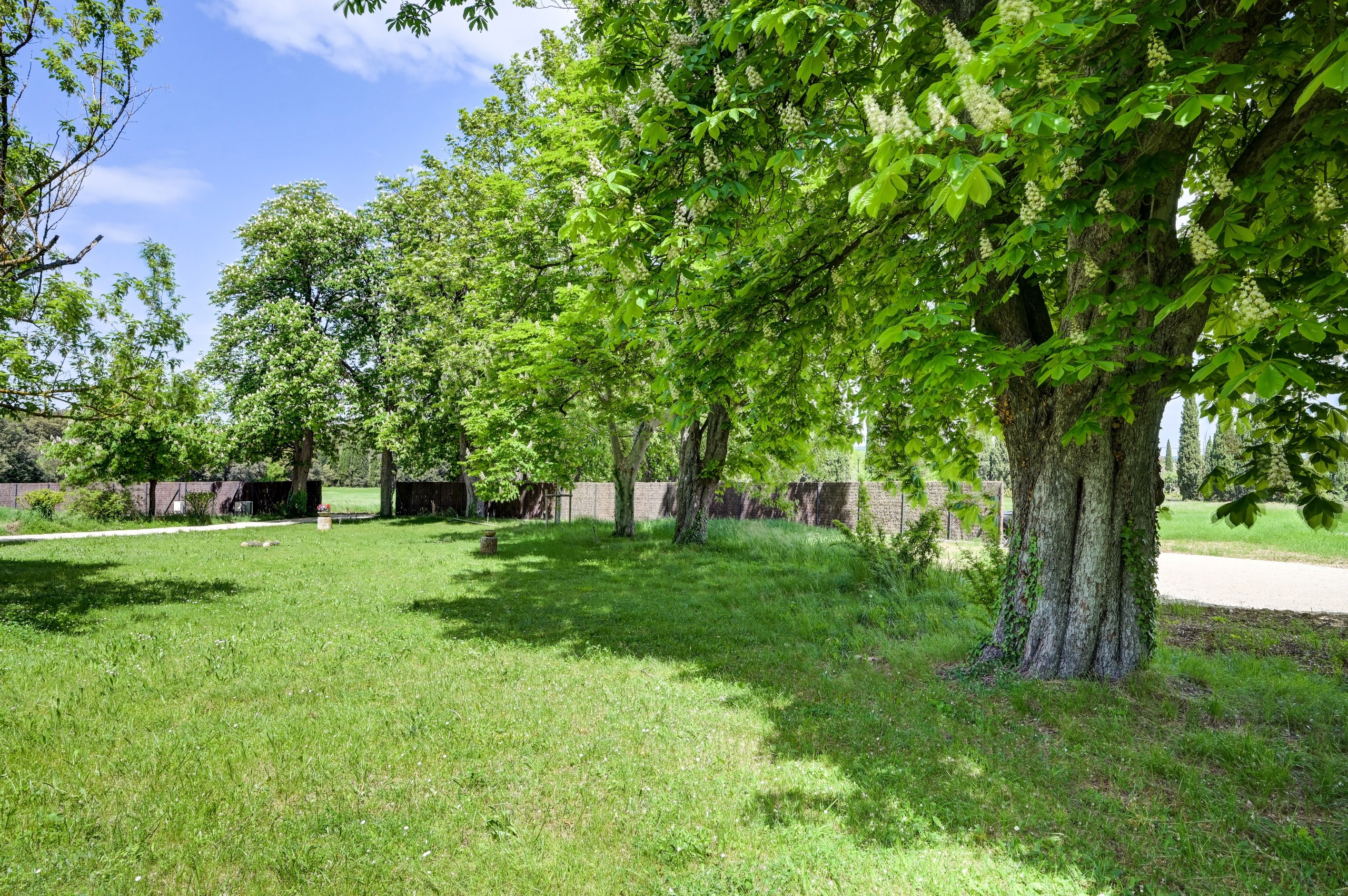  Rare on the market – Farmhouse for full renovation – North Aix-en-Provence - 物件實景