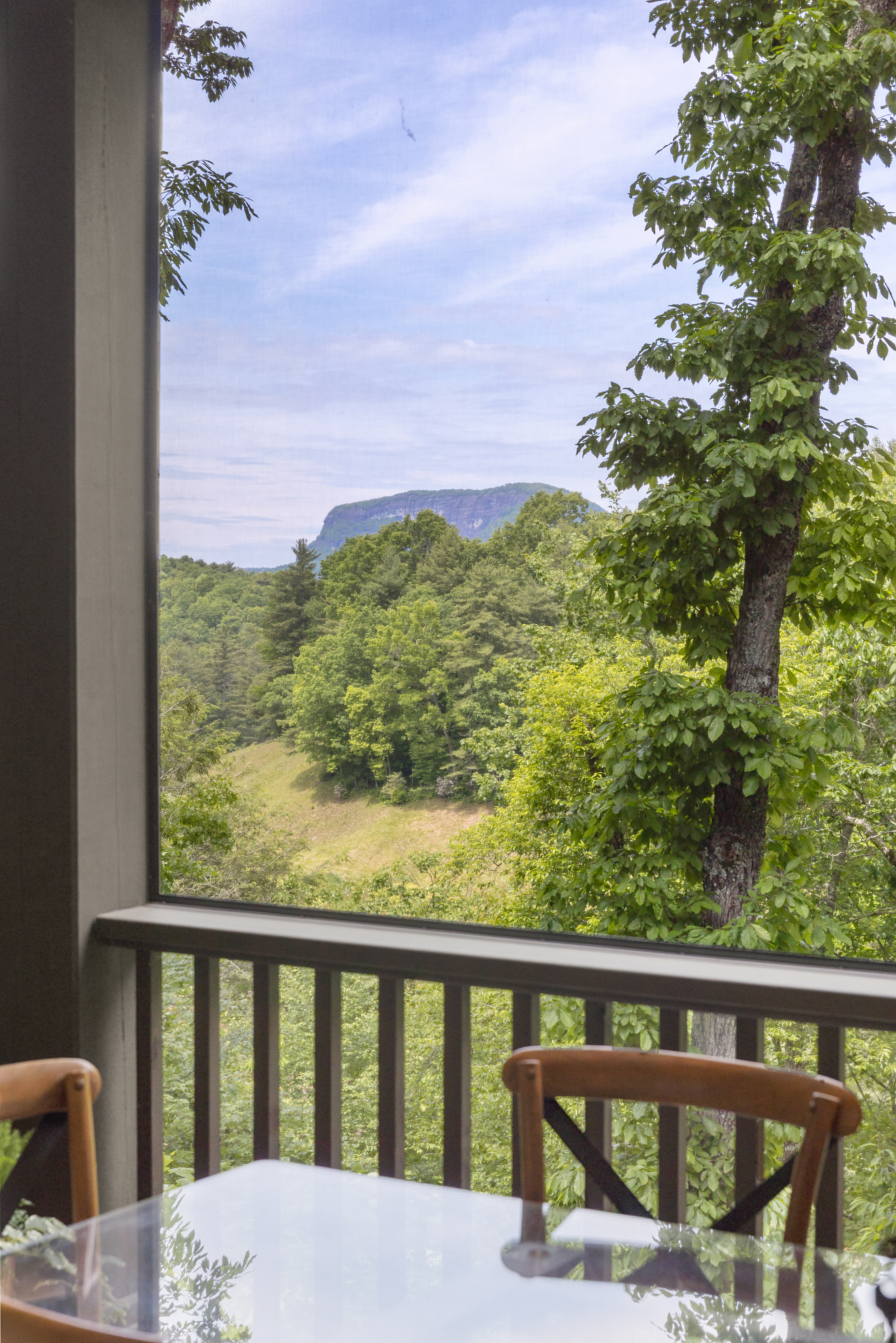  125 Wild Azalea Trail, Wade Hampton Golf Club - 物件實景