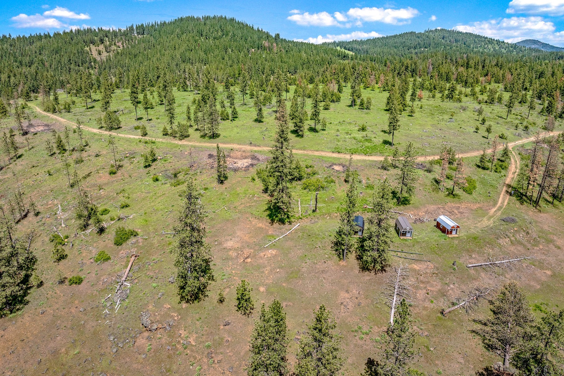  Cabins on 17ac. Surrounded by Lumber Land - 物件實景