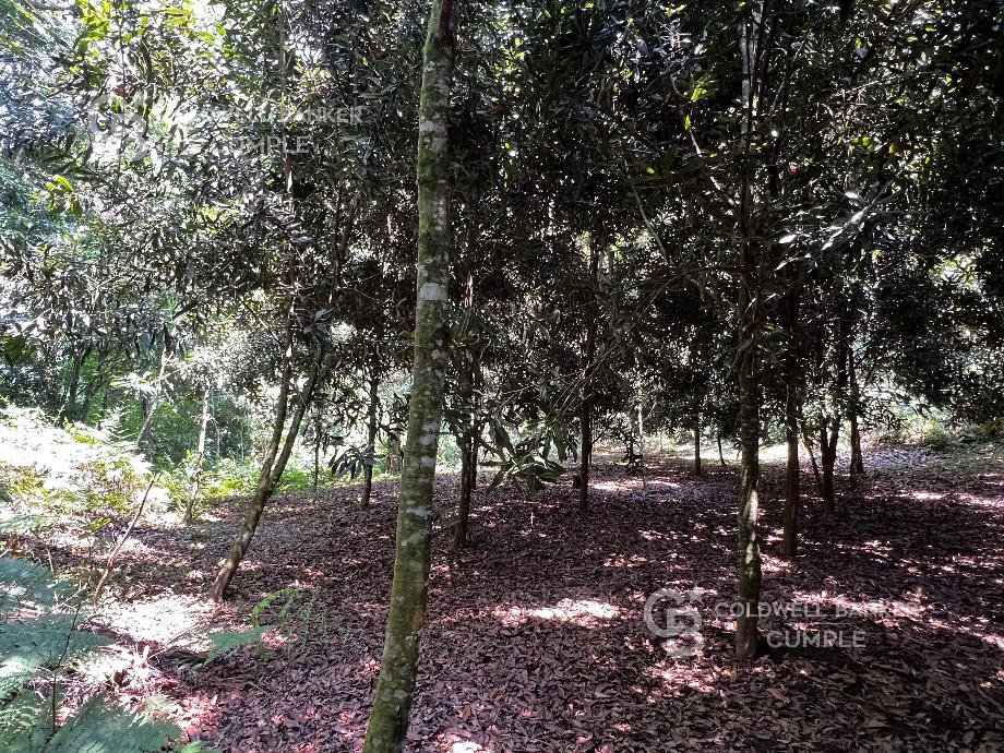 Tlalnelhuayocan, Veracruz de Ignacio de la Llave, 91230, Mexico, 1 Bedroom Bedrooms, ,Residential,For Sale,1829340