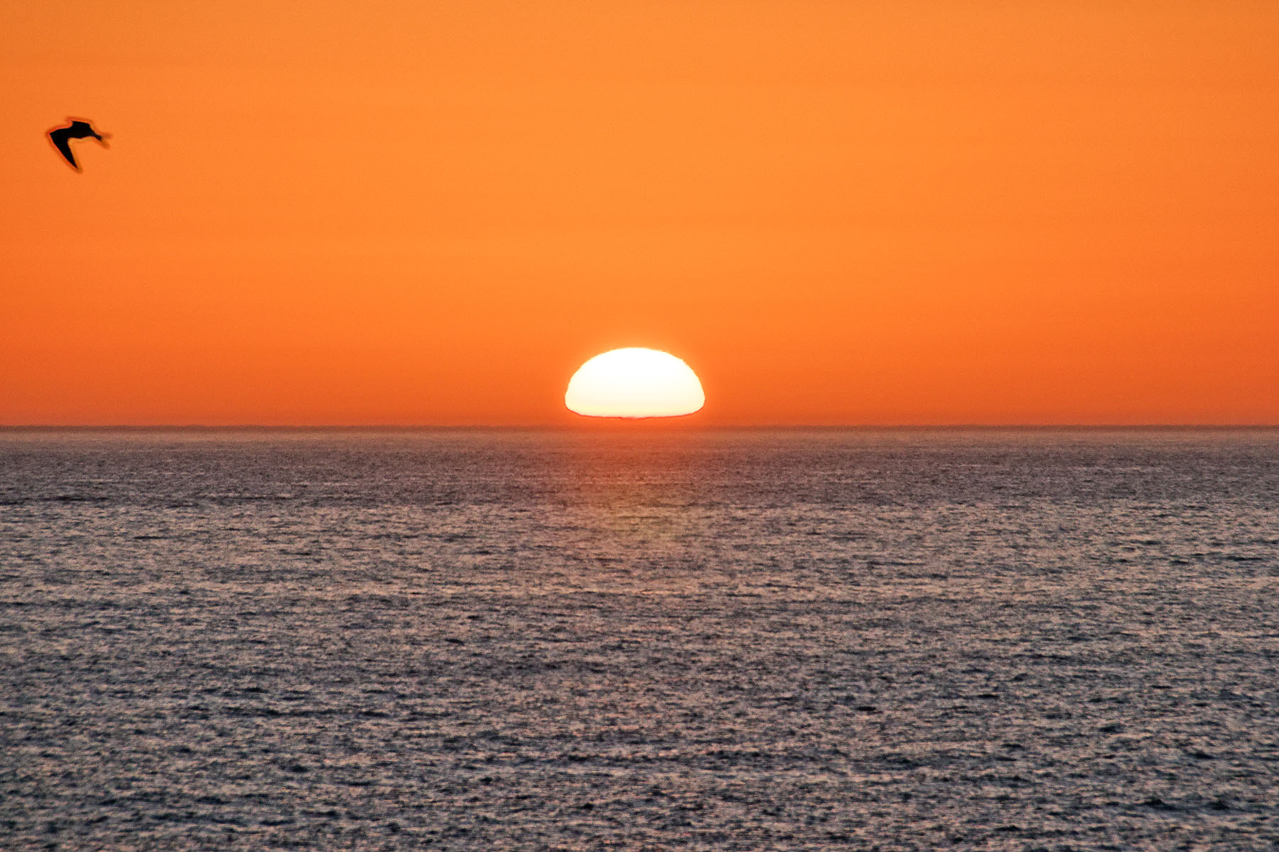  SUNSET REEF - 物件實景