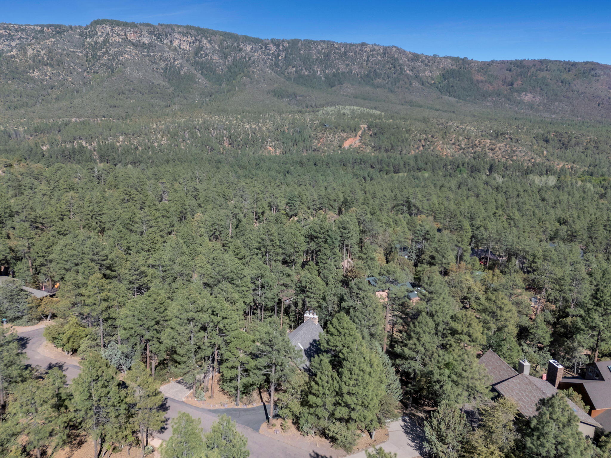 Pine, Arizona, 85544, United States, 3 Bedrooms Bedrooms, ,2 BathroomsBathrooms,Residential,For Sale,1828056
