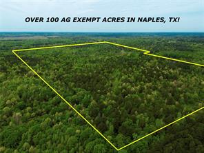 Naples, Texas, 75568, United States, ,Land,For Sale,1786234
