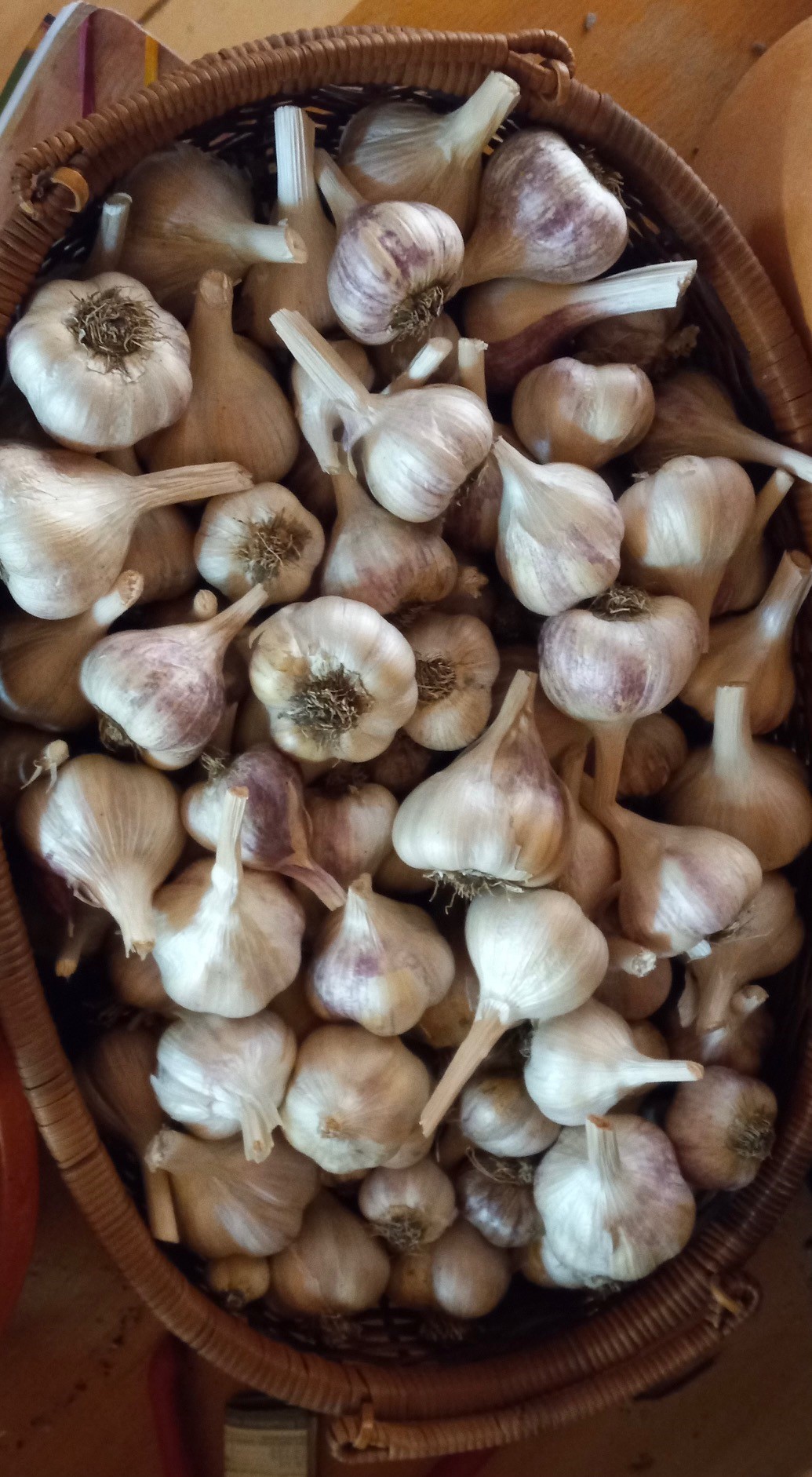 Sandpoint, Idaho, 83864, United States, 2 Bedrooms Bedrooms, ,2 BathroomsBathrooms,Residential,For Sale,2006058